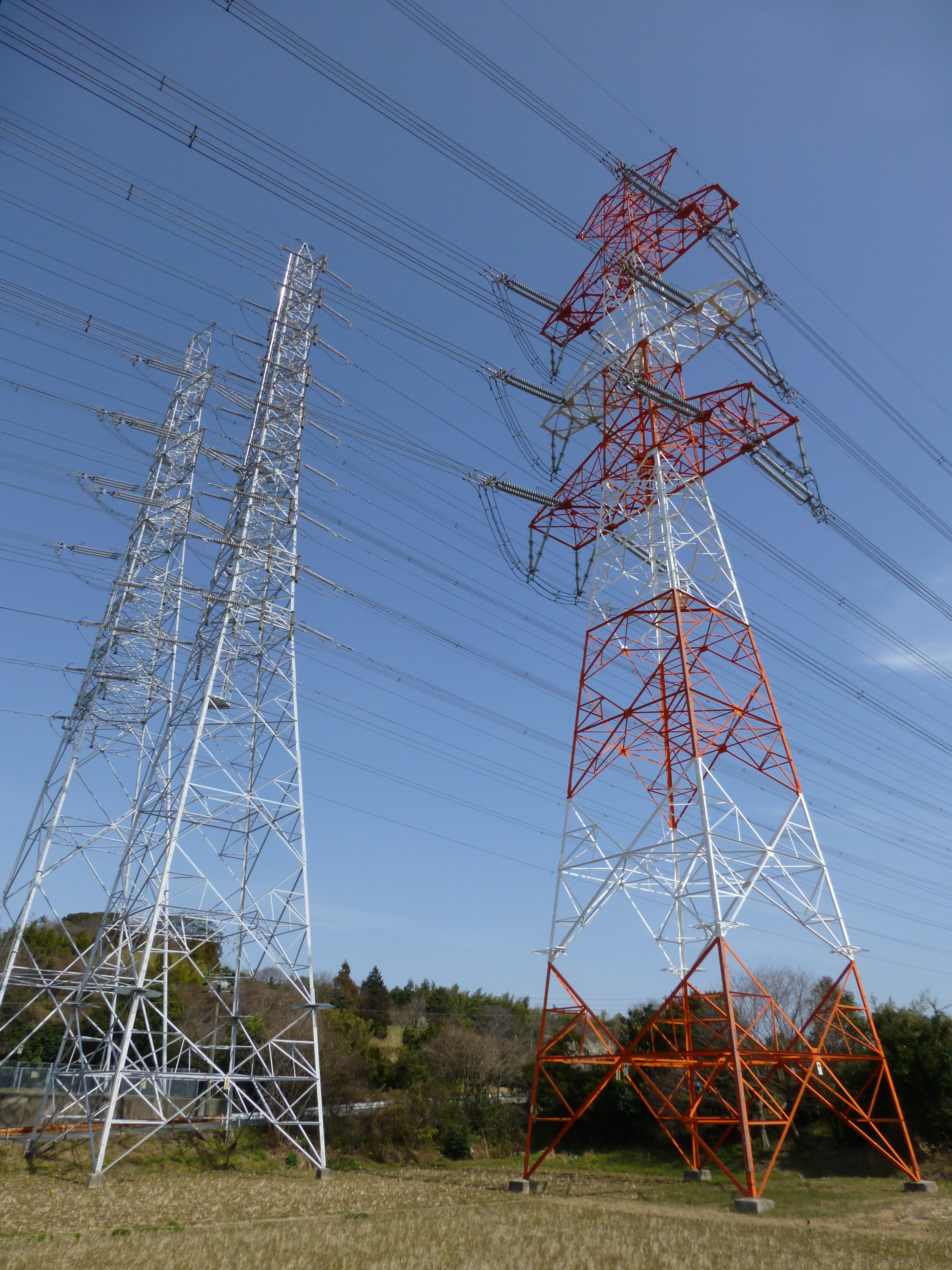 <b>DMC-TZ30 / 約4.6MB / 3,240×4,320 / 1/1,300秒 / F4 / -0.3EV / ISO100 / WB:オート / 4.3mm</b>