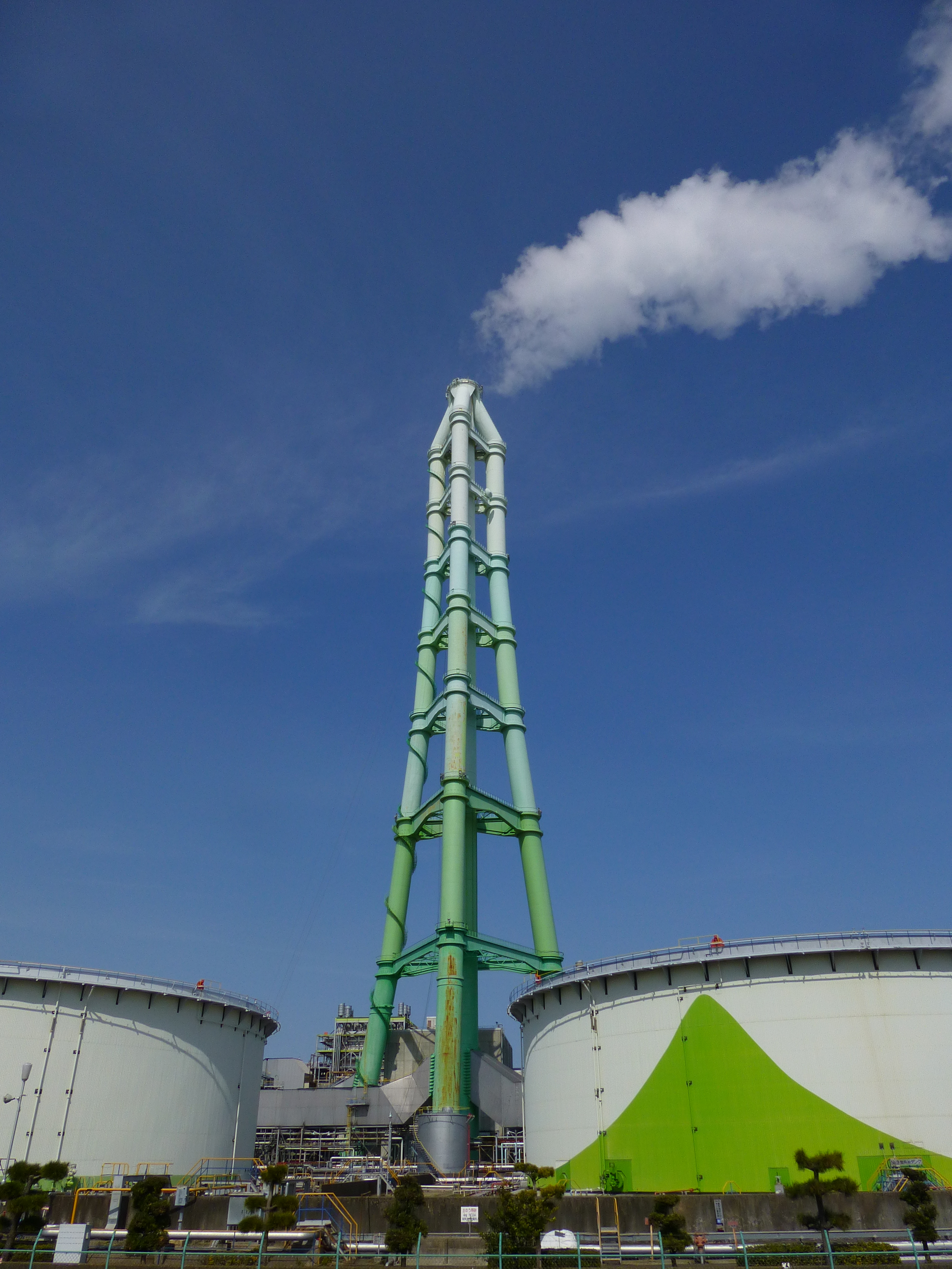 <b>DMC-TZ30 / 約4.7MB / 3,240×4,320 / 1/2,000秒 / F4.5 / -0.7EV / ISO100 / WB:オート / 4.3mm</b>