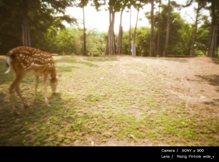 <b>撮影イメージ</b>