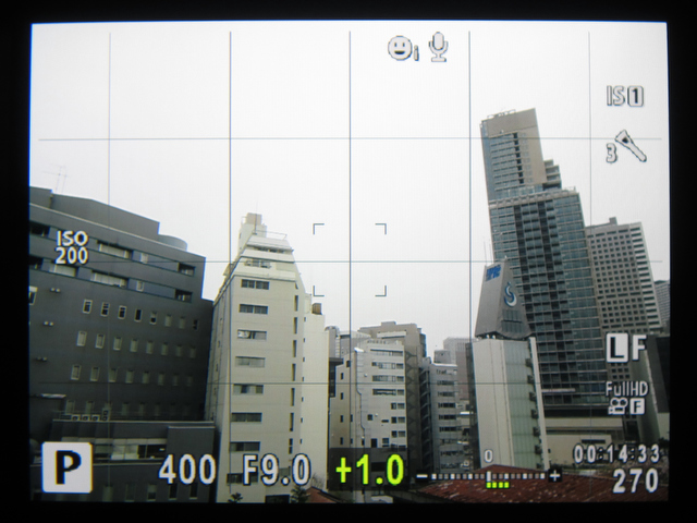 <b>EVFの撮影時の表示。写真は標準情報表示。</b>