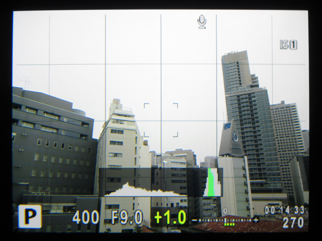 <b>ヒストグラム表示。</b>