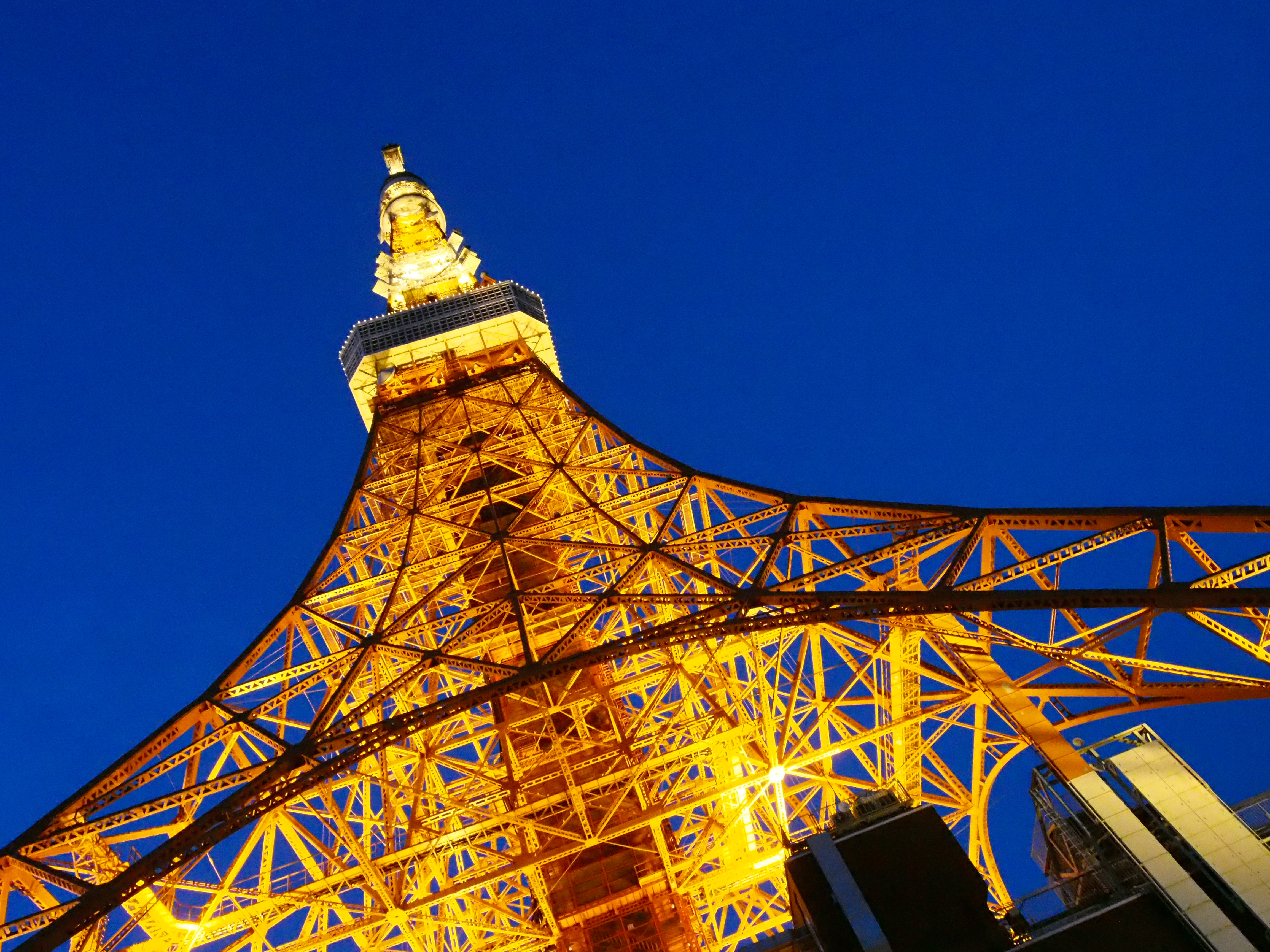 <b>NR:強 / E-M5 / M.ZUIKO DIGITAL ED 12-50mm F3.5-6.3 EZ / 約7.2MB / 4,608×3,456 / 1/125秒 / F8 / 0.0EV / ISO12800 / WB:オート / 12mm</b>