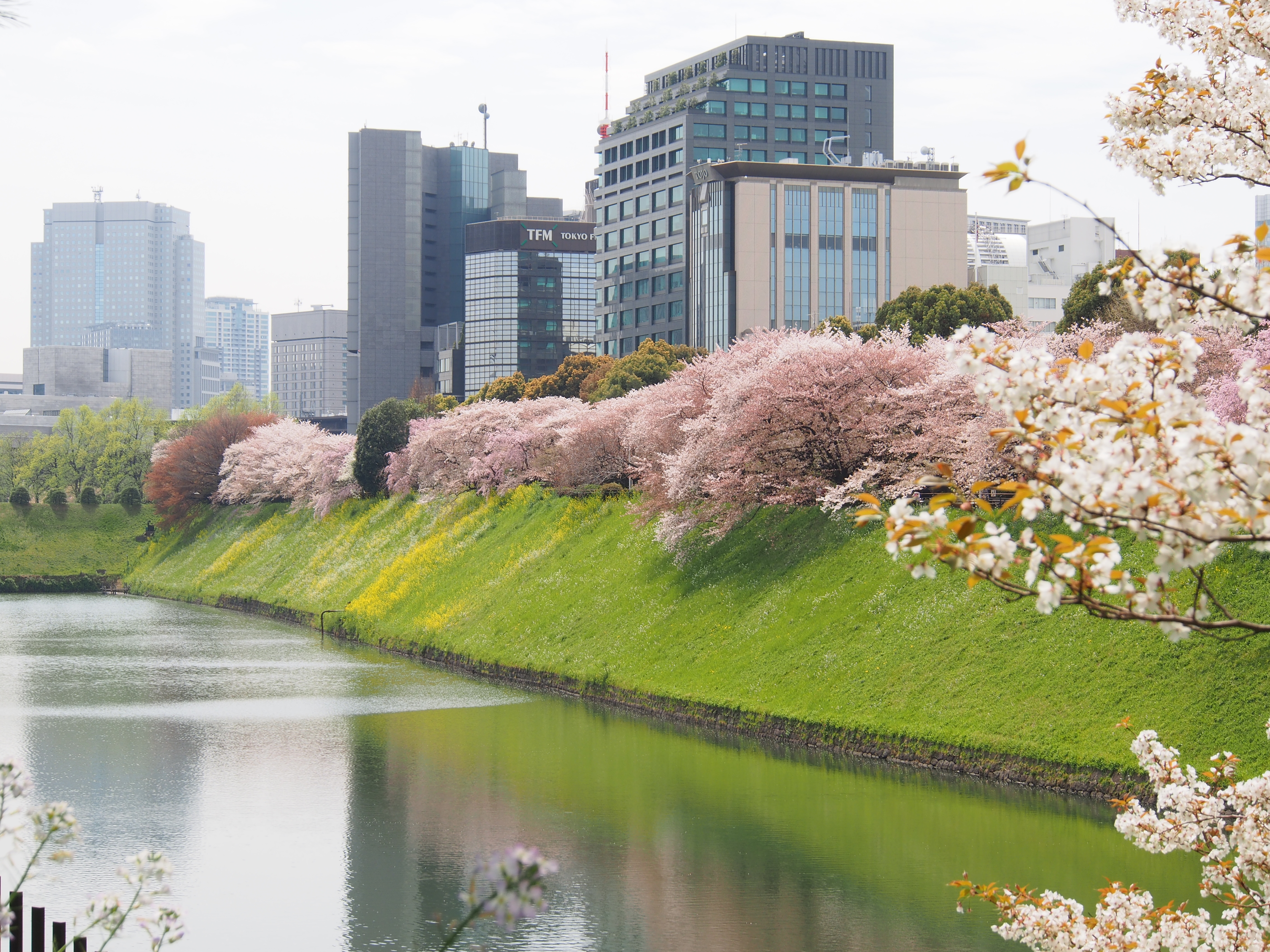 <b>E-M5 / M.ZUIKO DIGITAL ED 12-50mm F3.5-6.3 EZ / 約8.3MB / 4,608×3,456 / 1/250秒 / F8 / +0.7EV / ISO200 / WB:オート / 40mm</b>