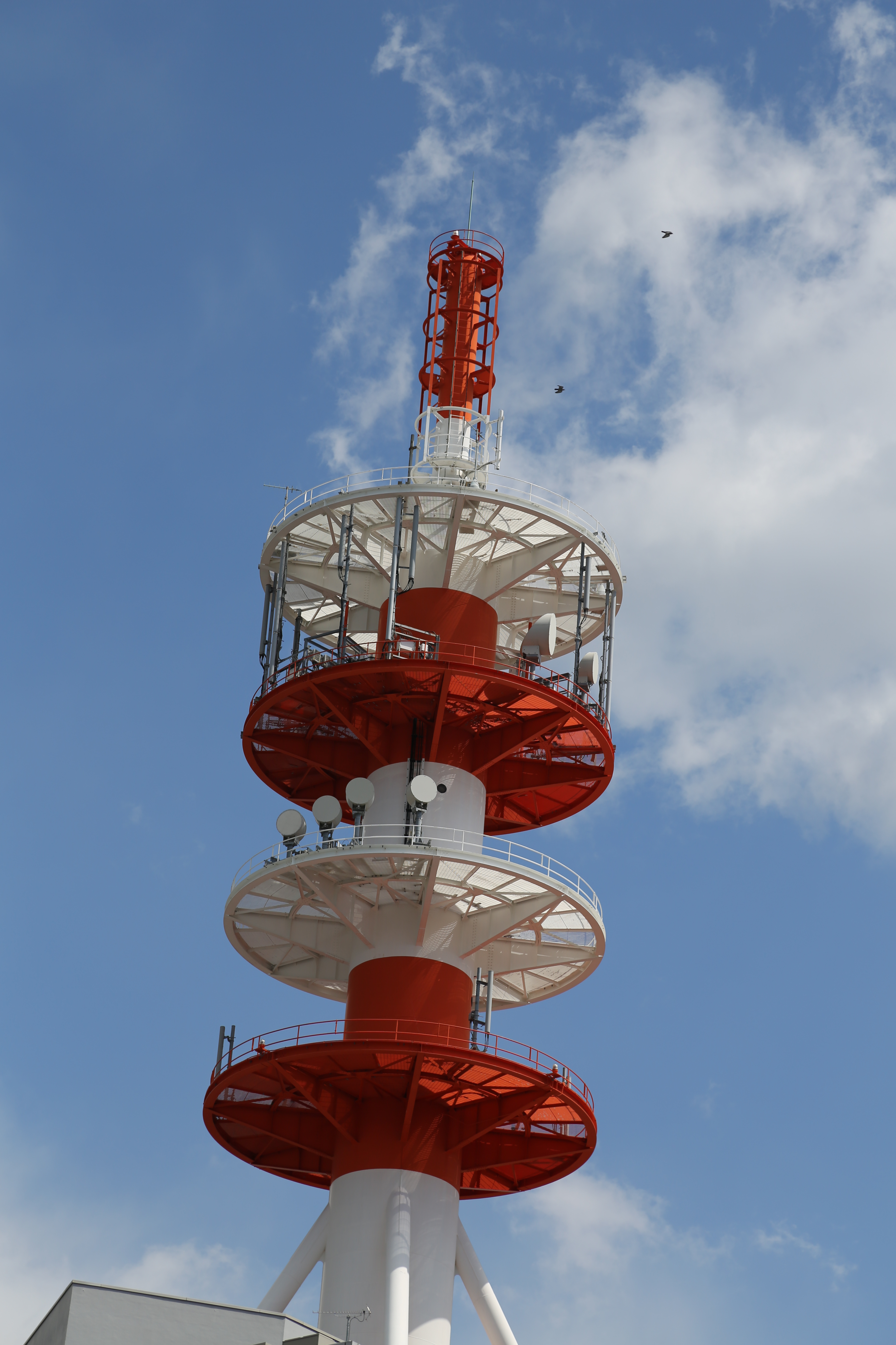 <b>EOS 5D Mark III / EF 24-105mm F4 L IS USM / 約4.2MB / 3,840×5,760 / 1/640秒 / F8 / -0.7EV / ISO100 / WB:オート / 105mm</b>