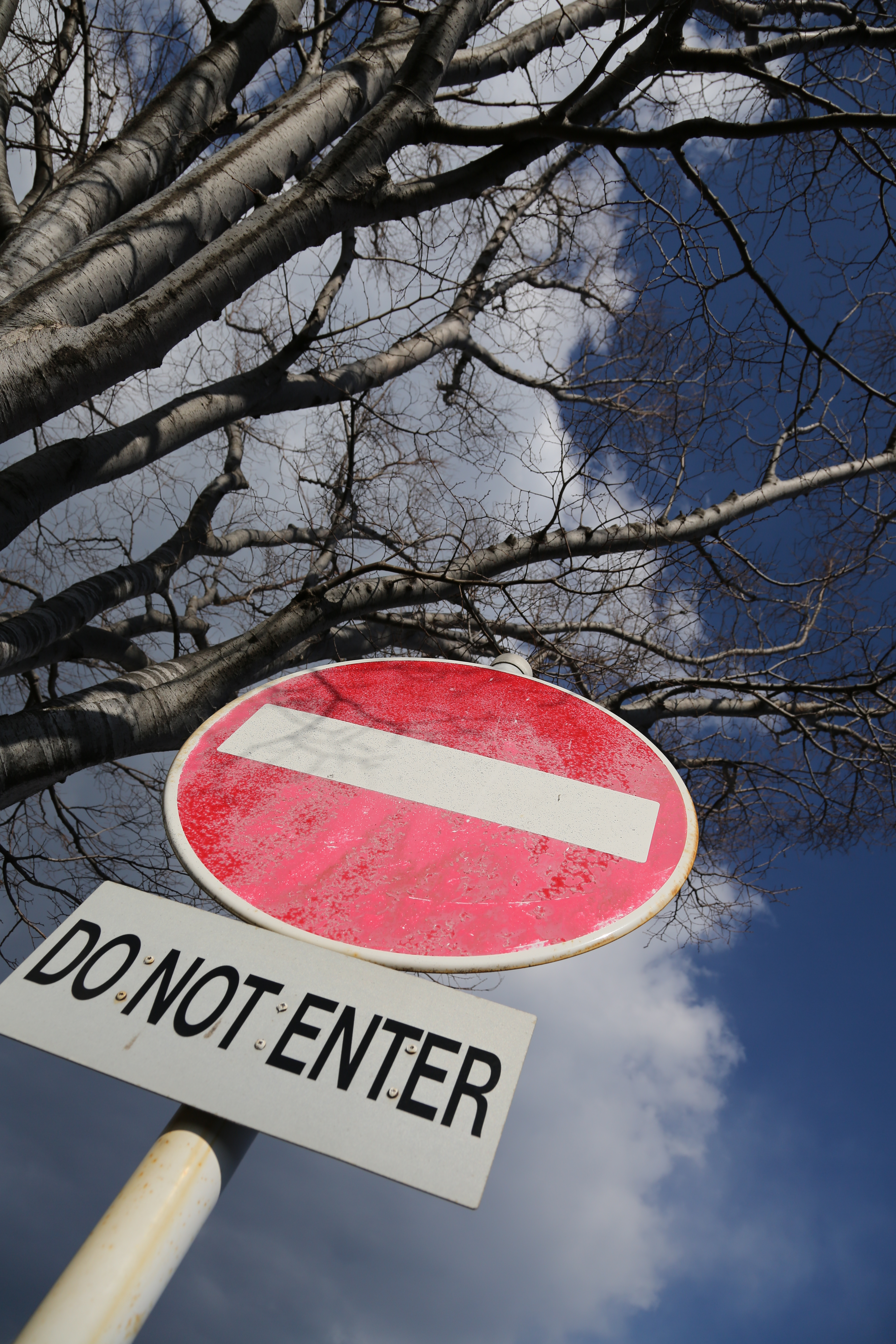 <b>EOS 5D Mark III / EF 24-105mm F4 L IS USM / 約7.1MB / 3,840×5,760 / 1/1,600秒 / F8 / 0.0EV / ISO200 / WB:オート / 24mm</b>