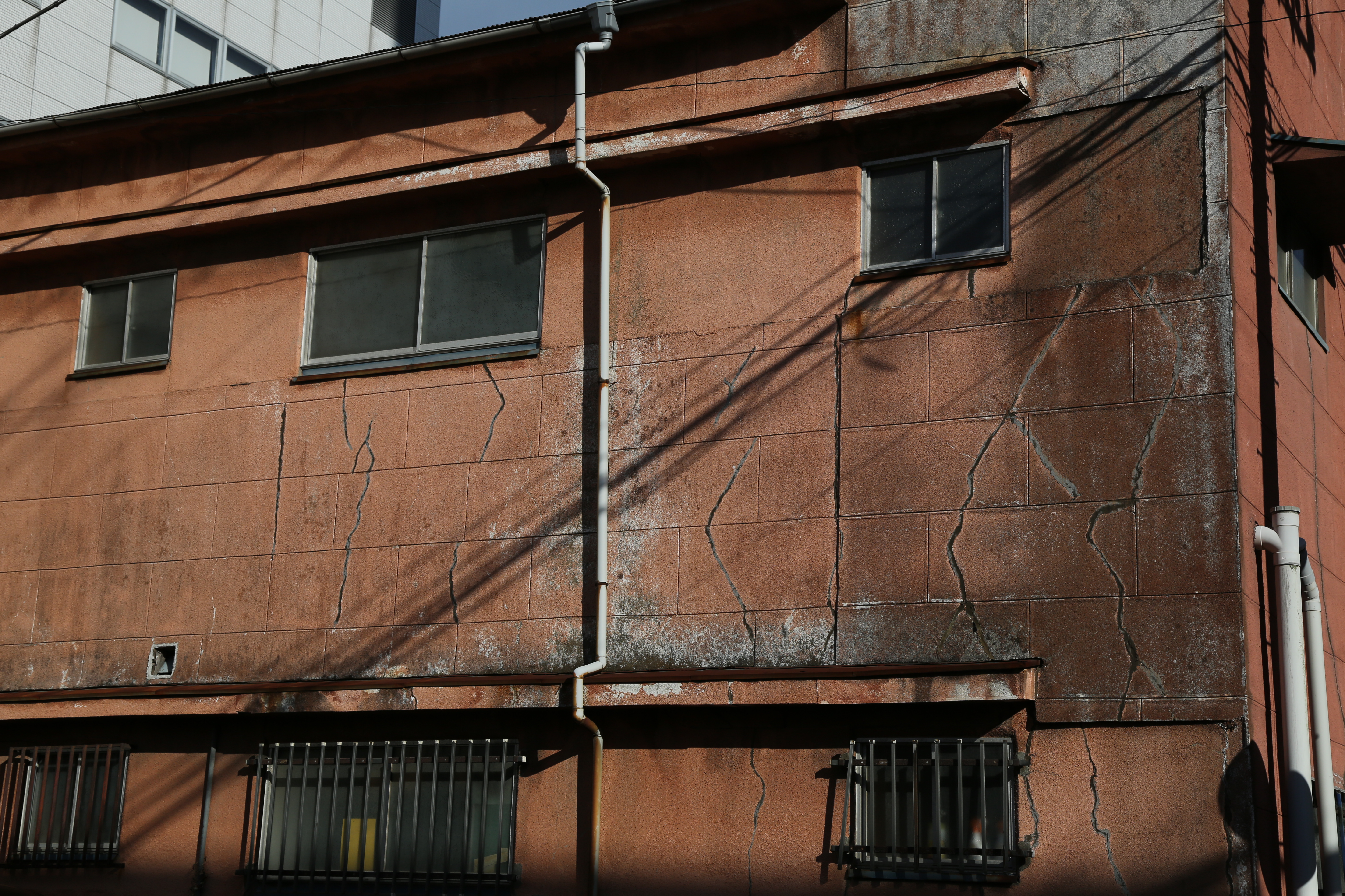 <b>EOS 5D Mark III / EF 24-105mm F4 L IS USM / 約10.7MB / 5,760×3,840 / 1/1,250秒 / F8 / -1.0EV / ISO200 / WB:オート / 50mm</b>