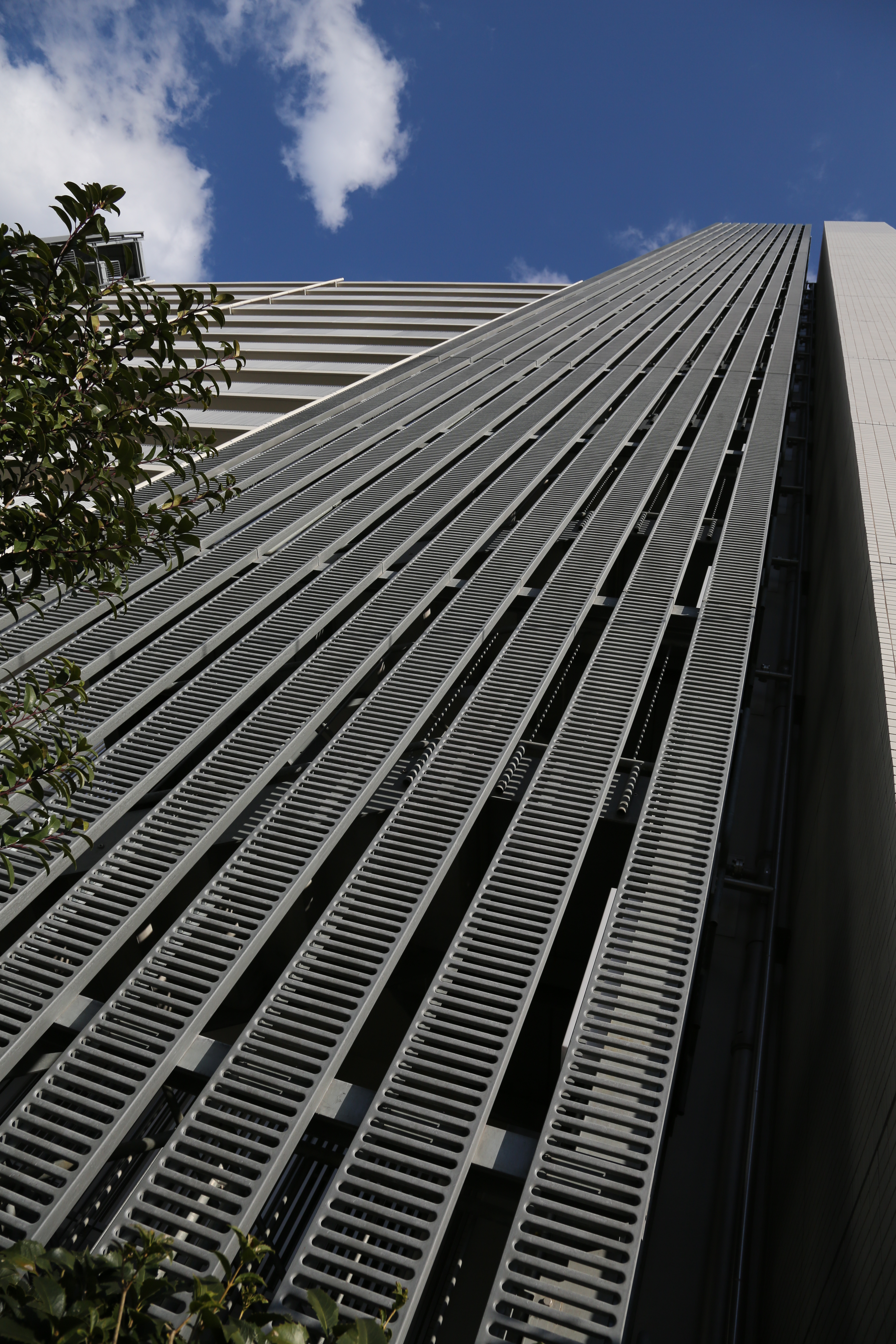 <b>EOS 5D Mark III / EF 24-105mm F4 L IS USM / 約7.4MB / 3,840×5,760 / 1/1,000秒 / F8 / -1.0EV / ISO200 / WB:オート / 24mm</b>