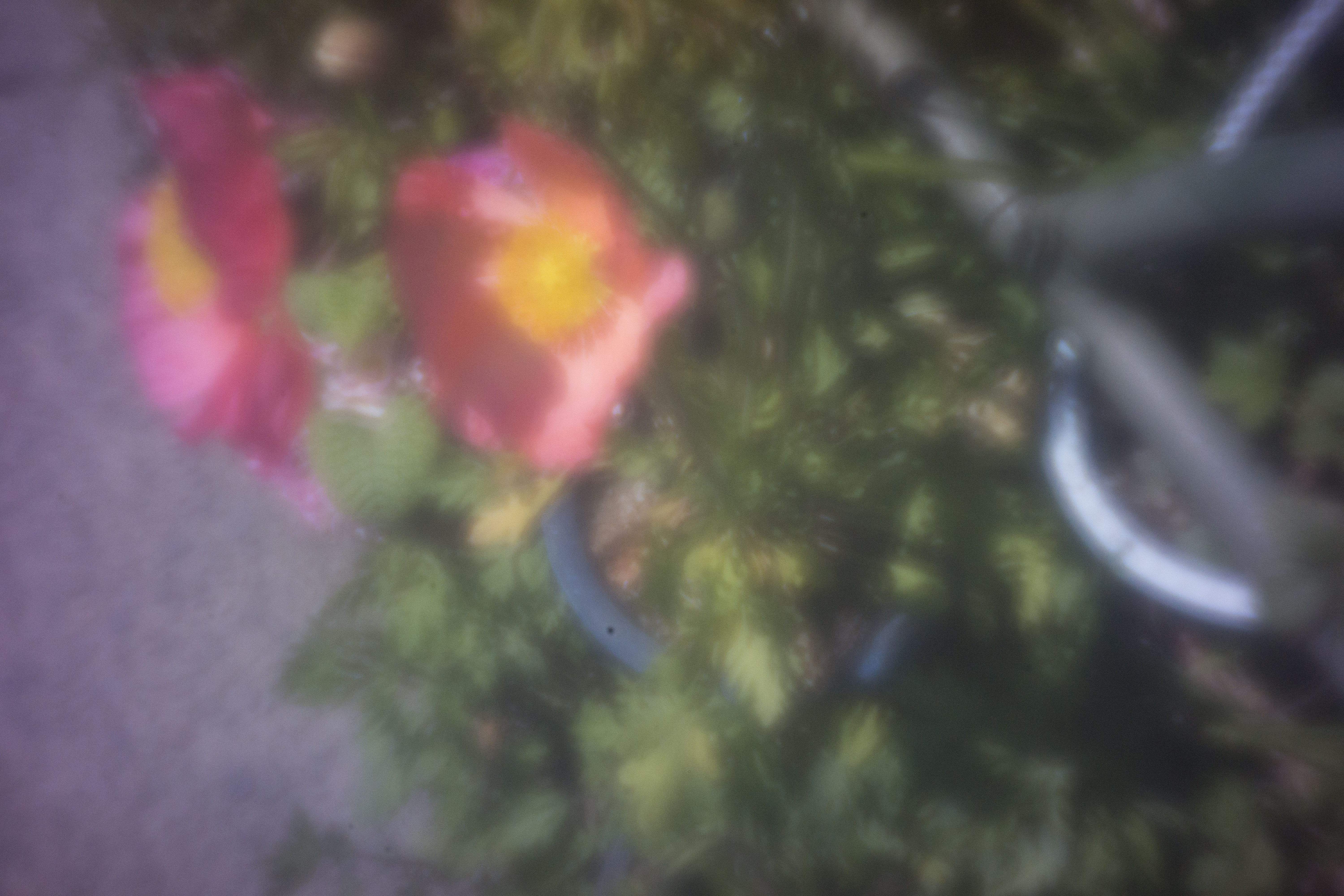 <b>NEX-7 / Skink Pinhole Pancake ZP 24mm f/46 / 6,000×4,000 / 1/60秒 / F46 / 0EV / ISO1600 / WB:オート / 24mm</b>