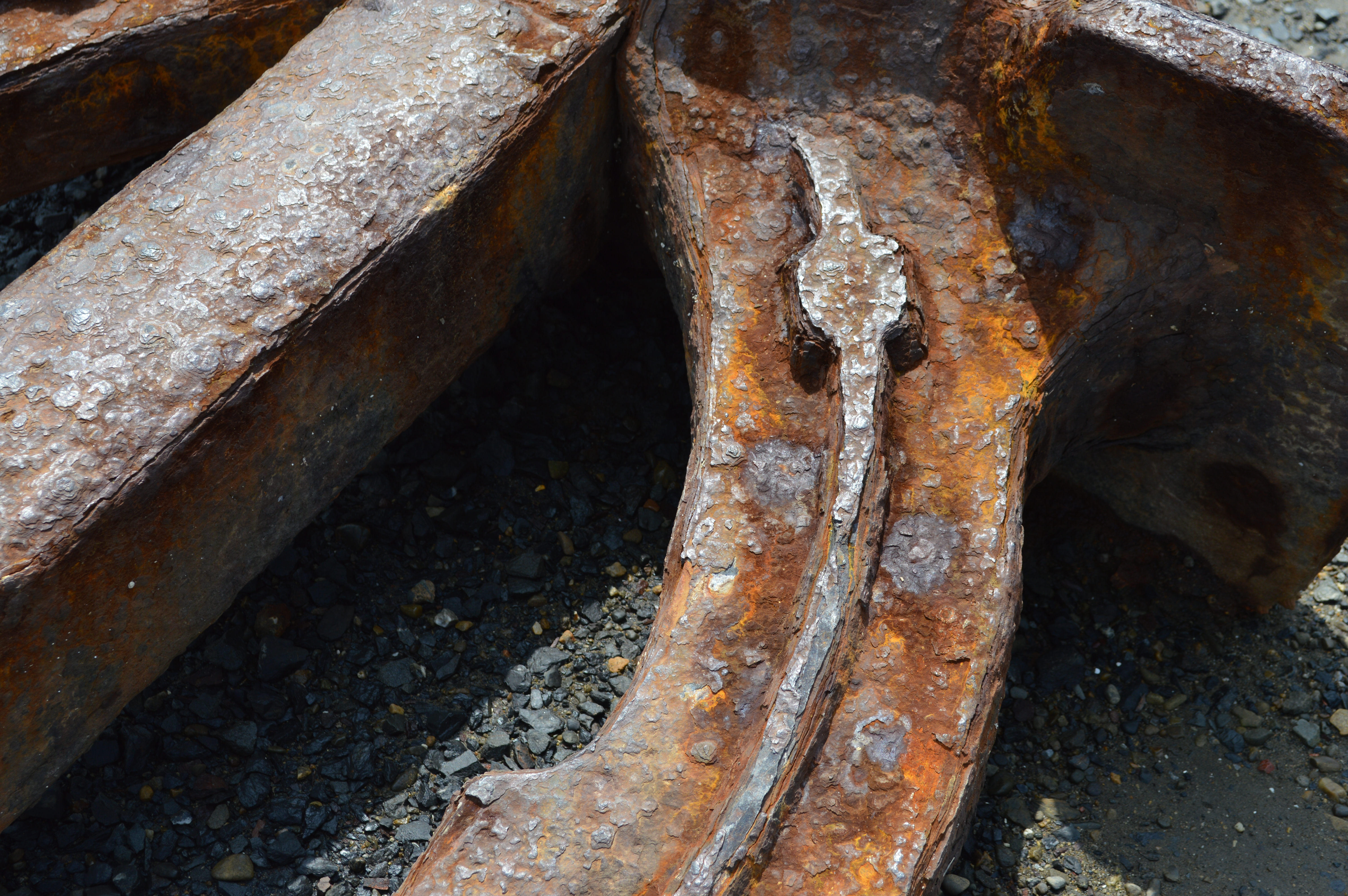 <b>D3200 / AF-S DX NIKKOR 18-55mm F3.5-5.6 G VR / 約11.4MB / 6,016×4,000 / 1/200秒 / F7.1 / -1.0EV / ISO100 / WB:オート / 36mm</b>