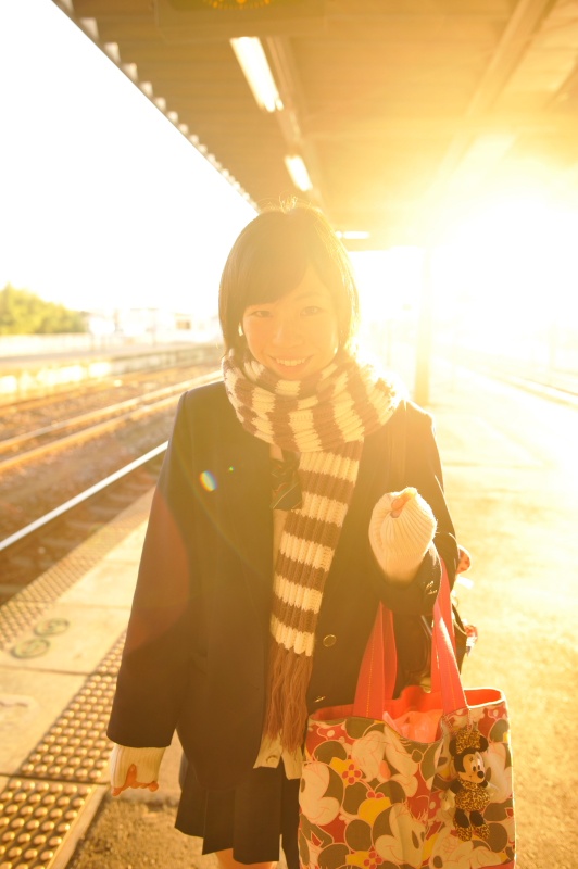 <b>「DREAM TRAIN」より (c)中井精也</b>