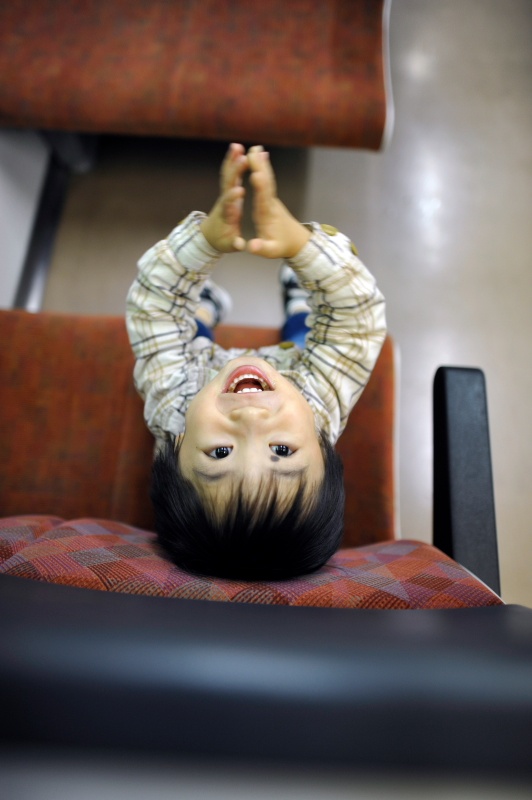 <b>「DREAM TRAIN」より (c)中井精也</b>