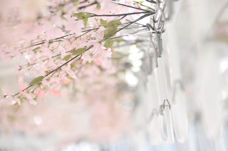 <b>「ほのかたび」より (c)中井精也</b>