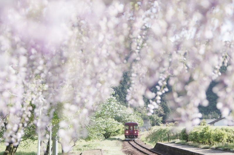 <b>「ほのかたび」より (c)中井精也</b>