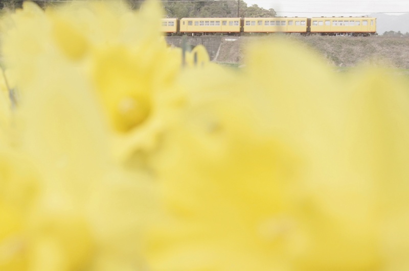 <b>「ほのかたび」より (c)中井精也</b>