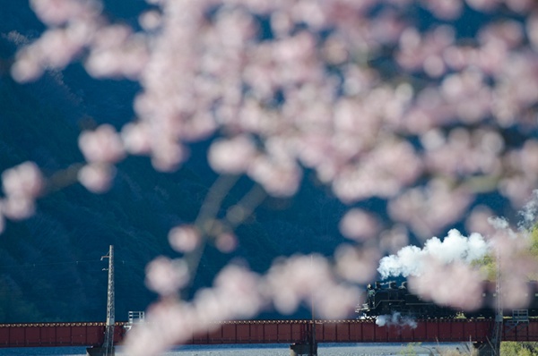 <b>「さきほどの手前のカットですが、これもいいですね。真四角にトリミングして、少し明るくすれば『ゆる鉄』作品の完成です。悔しい」</b>