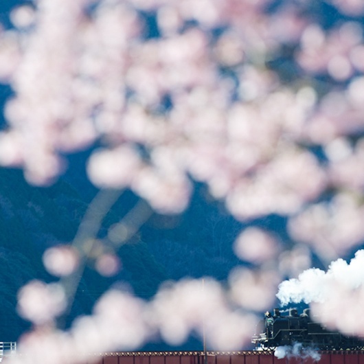 <b>※中井先生に修正して仕上げていただいた完成例</b>