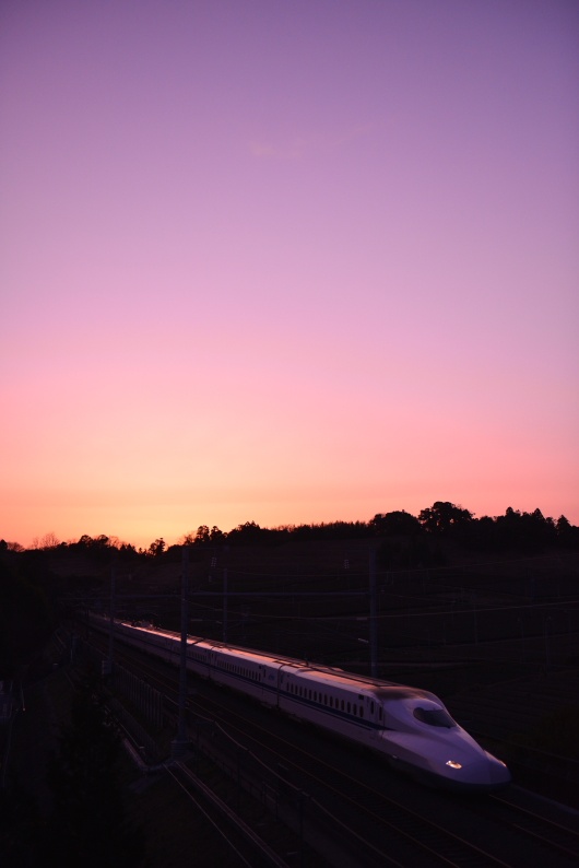 <b>(c)中井精也</b>