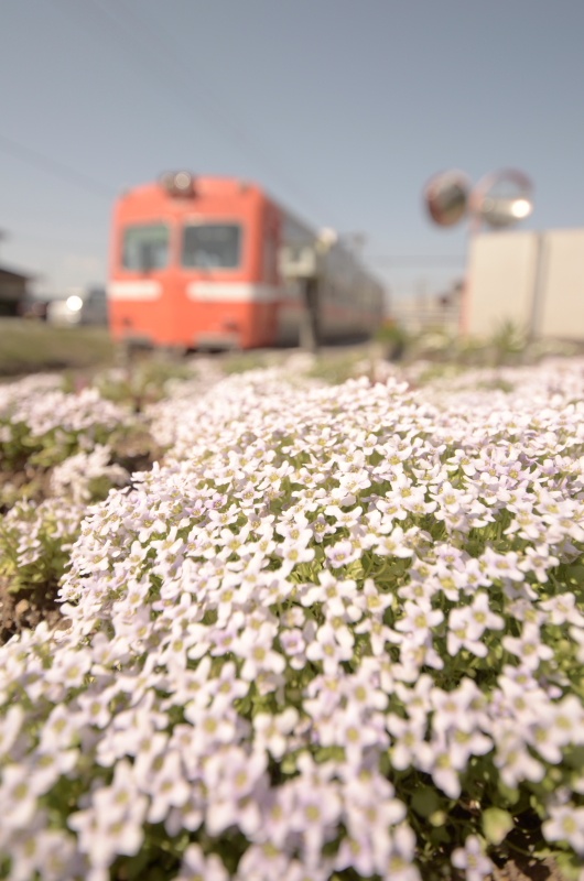 <b>(c)中井精也</b>