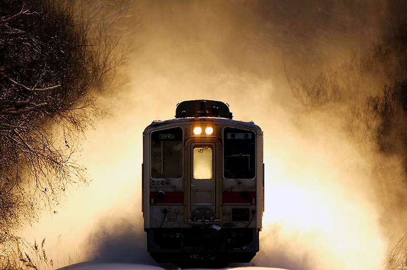 <b>「1日1鉄」シリーズより (c)中井精也</b>