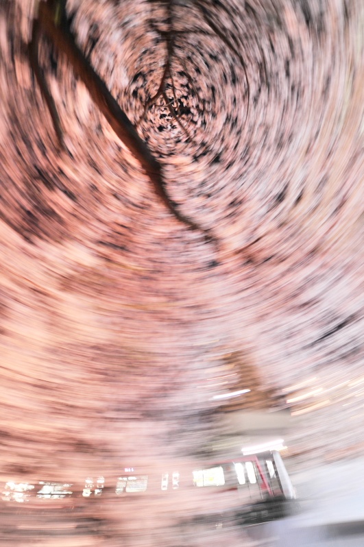 <b>「1日1鉄」シリーズより (c)中井精也</b>