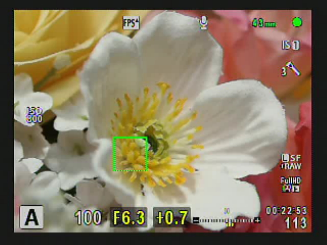 こちらは通常の35点AFエリア時のAFポイント枠