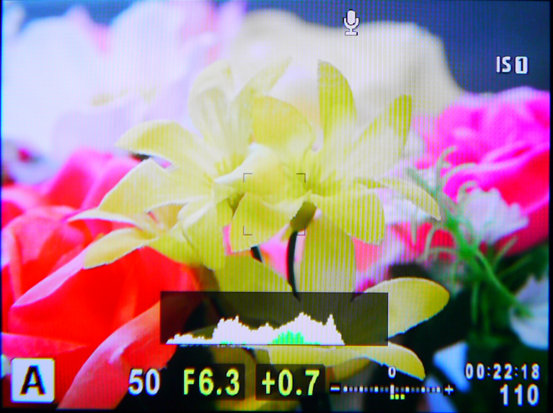 EVFなら明るい場所でも画像を確認しやすい。さらにヒストグラムを表示させれば、リアルタイムに厳密な露光分布を確認することも可能だ。