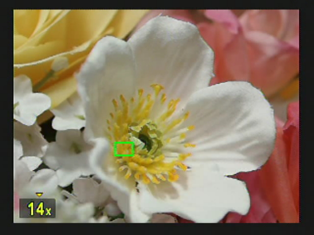 Fnボタンを押した上で、ダイヤルを回して任意の拡大率にする。この画像は最大の14倍に設定したもの。