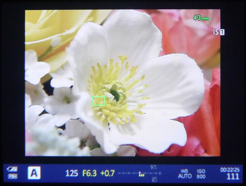レリーズボタン半押しで撮影スタンバイに戻れば、AFポイントが指定した枠のサイズに固定される。これによって細かいAFポイントの指定が可能となる。もちろんAFポイントを好きな場所へ移動させることもできる。