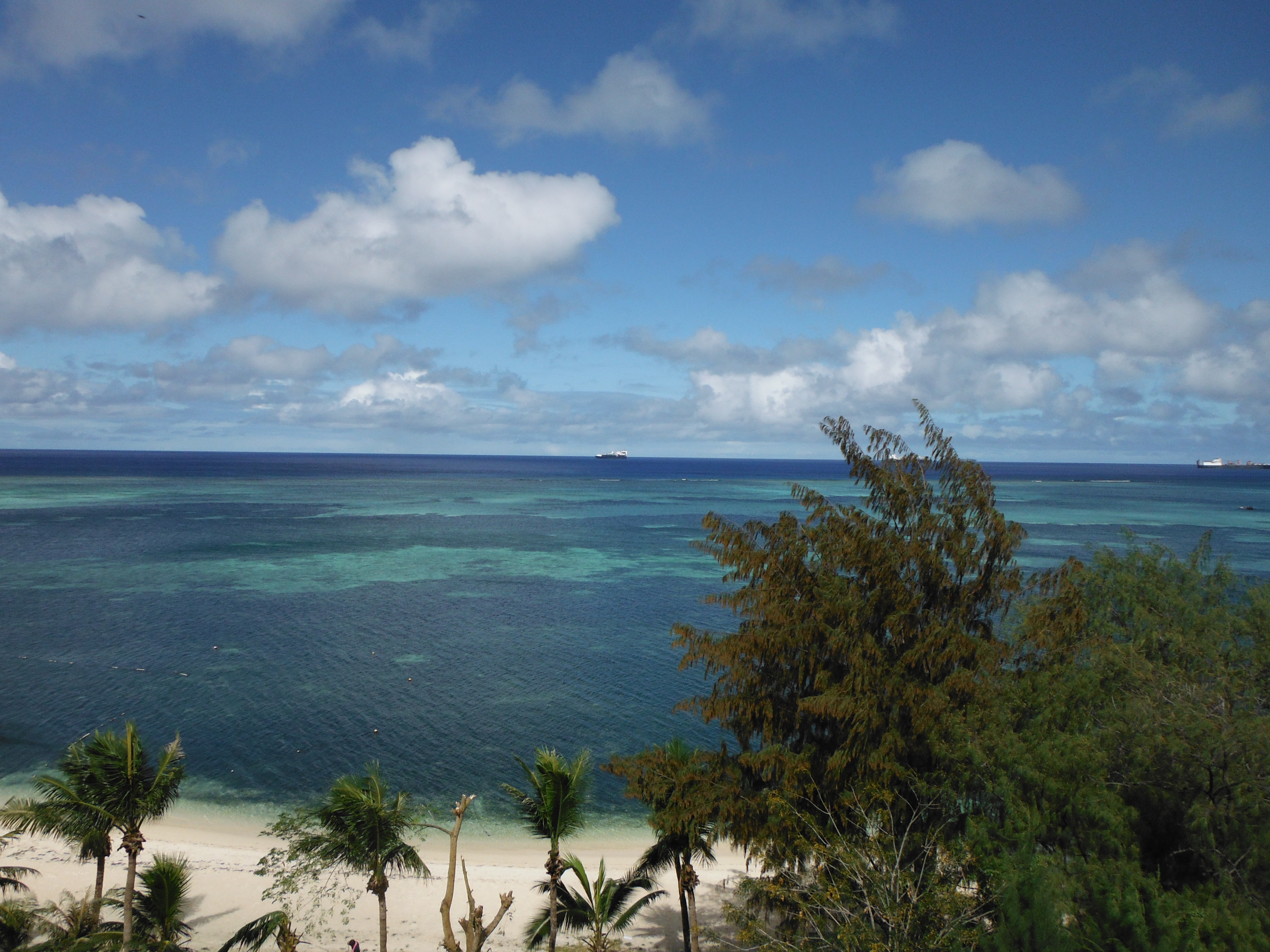 <b>望遠端 / FinePix XP150 / 5.7MB / 4,320×3,240 / 1/800秒 / F6.2 / 0.0EV / ISO100 / WB:オート / 5mm</b>