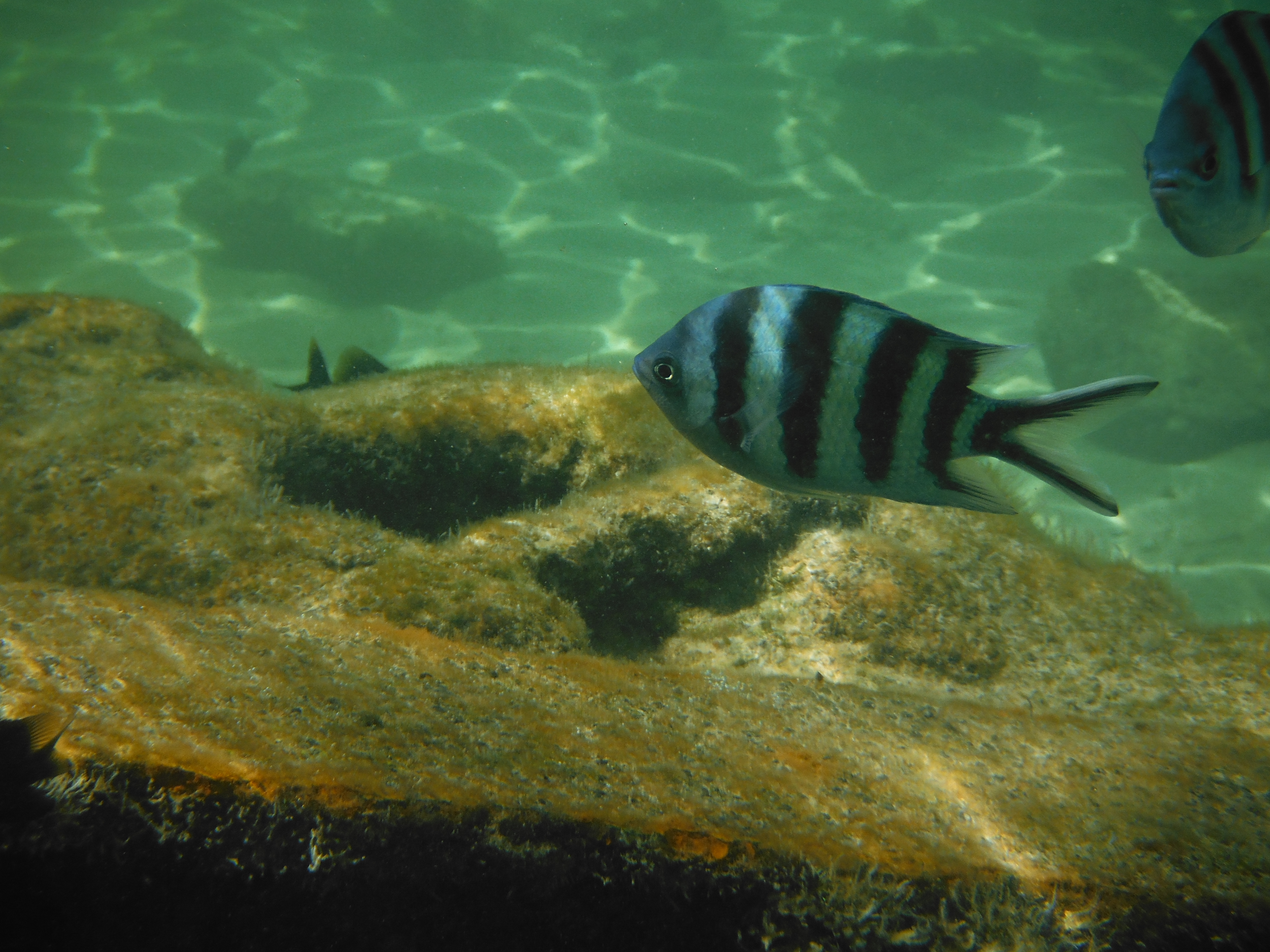 <b>FinePix XP150 / 5.7MB / 4,320×3,240 / 1/350秒 / F4.8 / 0.0EV / ISO100 / WB:オート / 13.1mm</b>