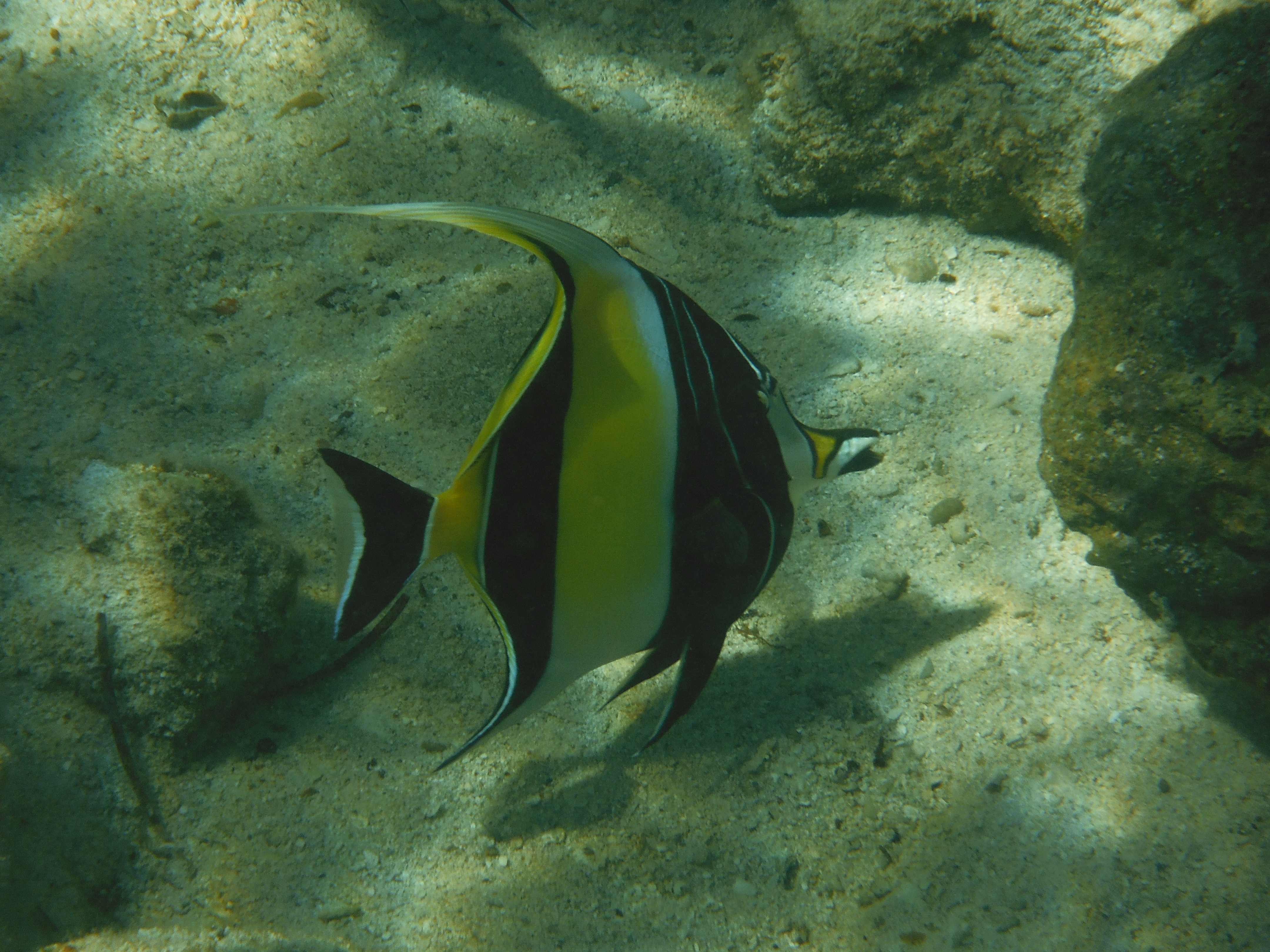 <b>FinePix XP150 / 5.8MB / 4,320×3,240 / 1/300秒 / F8 / 0.0EV / ISO100 / WB:オート / 25mm</b>