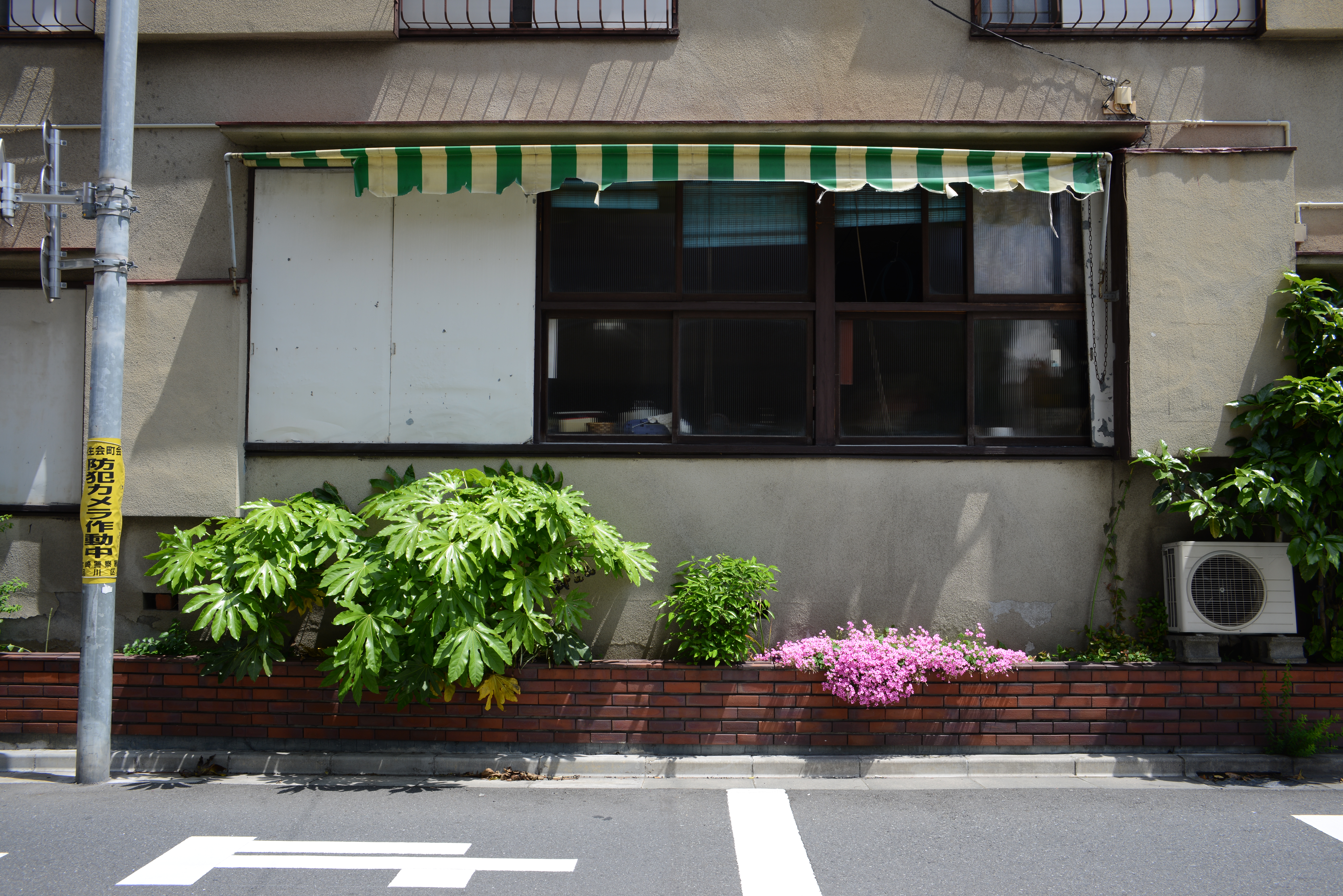 <b>D800 / COLOR-SKOPAR 28mm F2.8 SL II N / 約20.2MB / 7,360×4,912 / 1/160秒 / F8 / -0.3EV / ISO100 / 28mm</b>