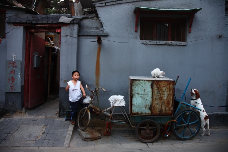 <b>(c)鹿野貴司</b>