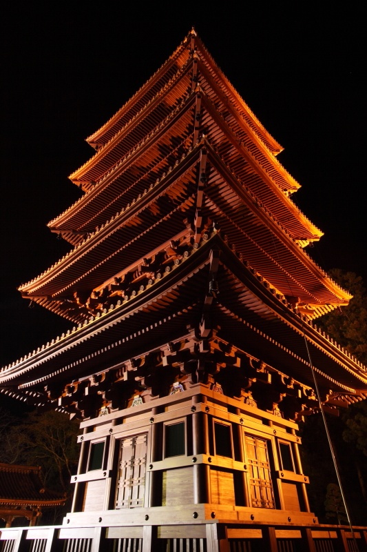 <b>写真集「甦る五重塔 身延山久遠寺」より (c)鹿野貴司</b>