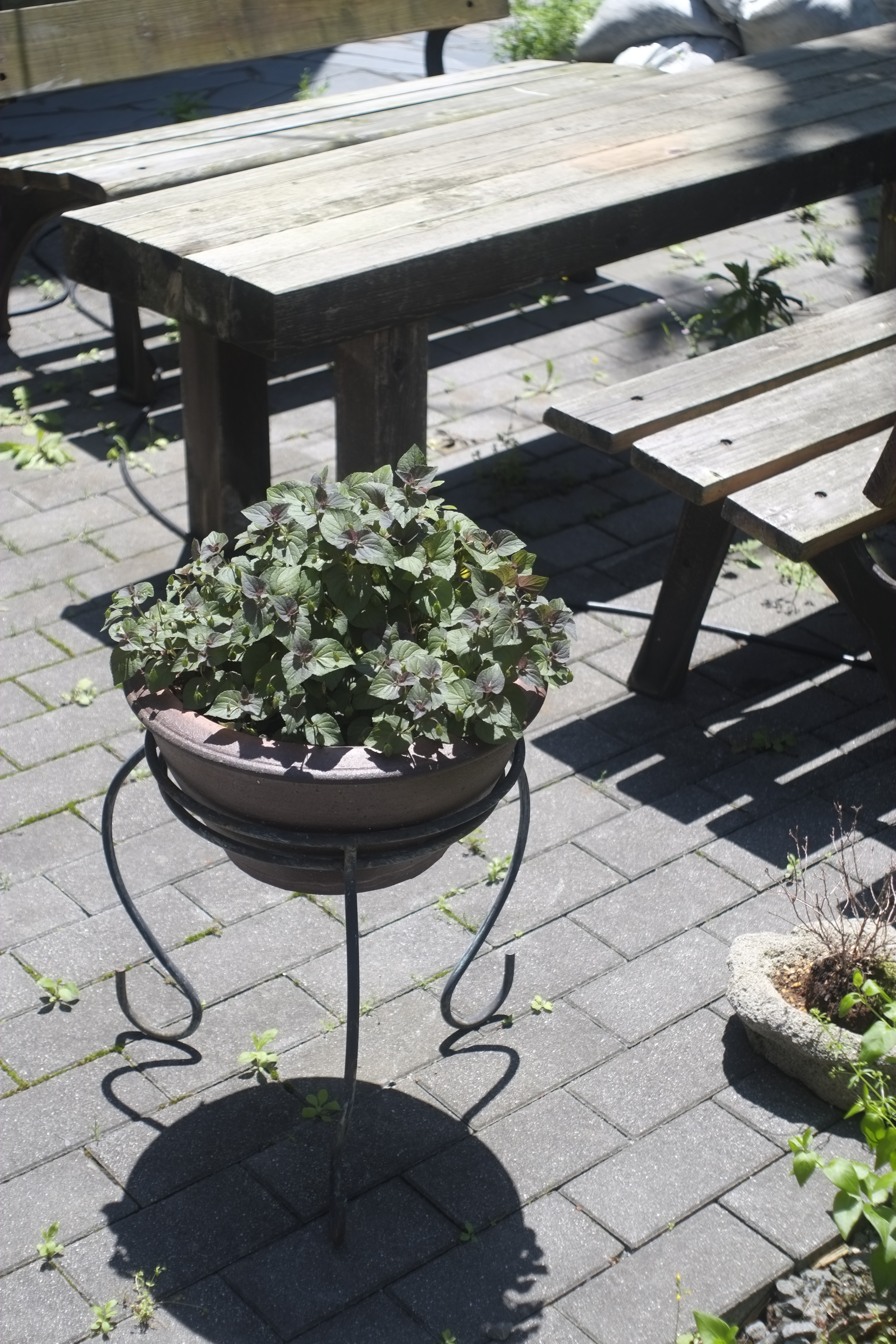 <b>X-Pro1 / MIR-1 37mm F2.8 / 4,896×3,264 / 1/500秒 / F4 / 0EV / ISO200 / WB:オート / 37mm</b>