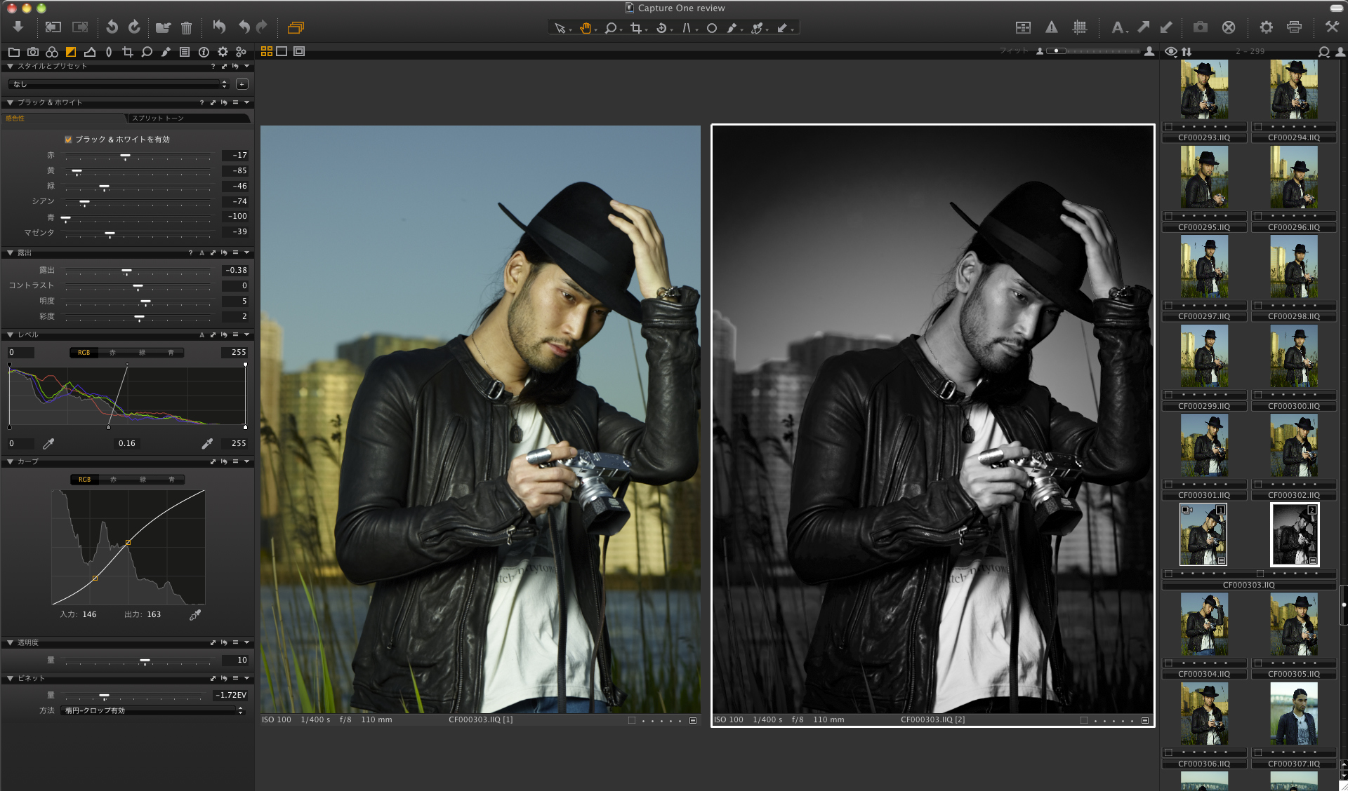 <b>カラー画像をモノクロに変換してトーンを整えたあと、レベルとトーンカーブでコントラストを調整し濃いめのブラック＆ホワイト画像に仕上げた</b>