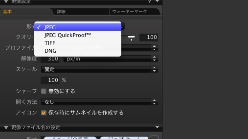 <b>画像を書き出す際には、JPEG、TIFF、DNG、JPEG QuickProofから選択できる。後は、圧縮率や解像度を選択するだけだ</b>