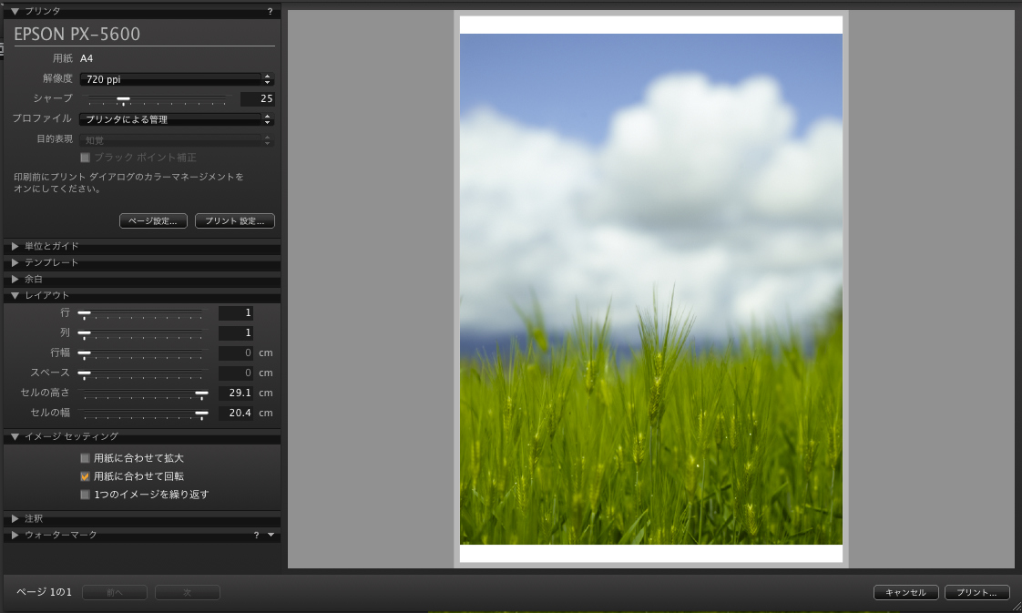 <b>Capture Oneから直接プリントアウトすることも可能</b>