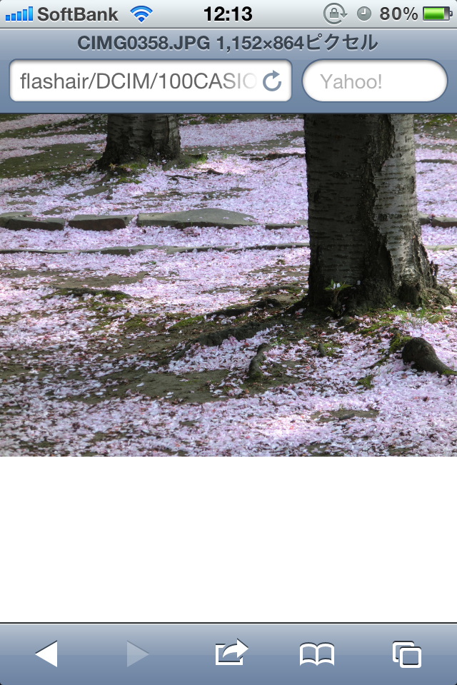 <b>1コマだけを表示したところ。ブラウザ上では約100万画素で表示されているが、ダブルタップでフル画素での保存が可能</b>