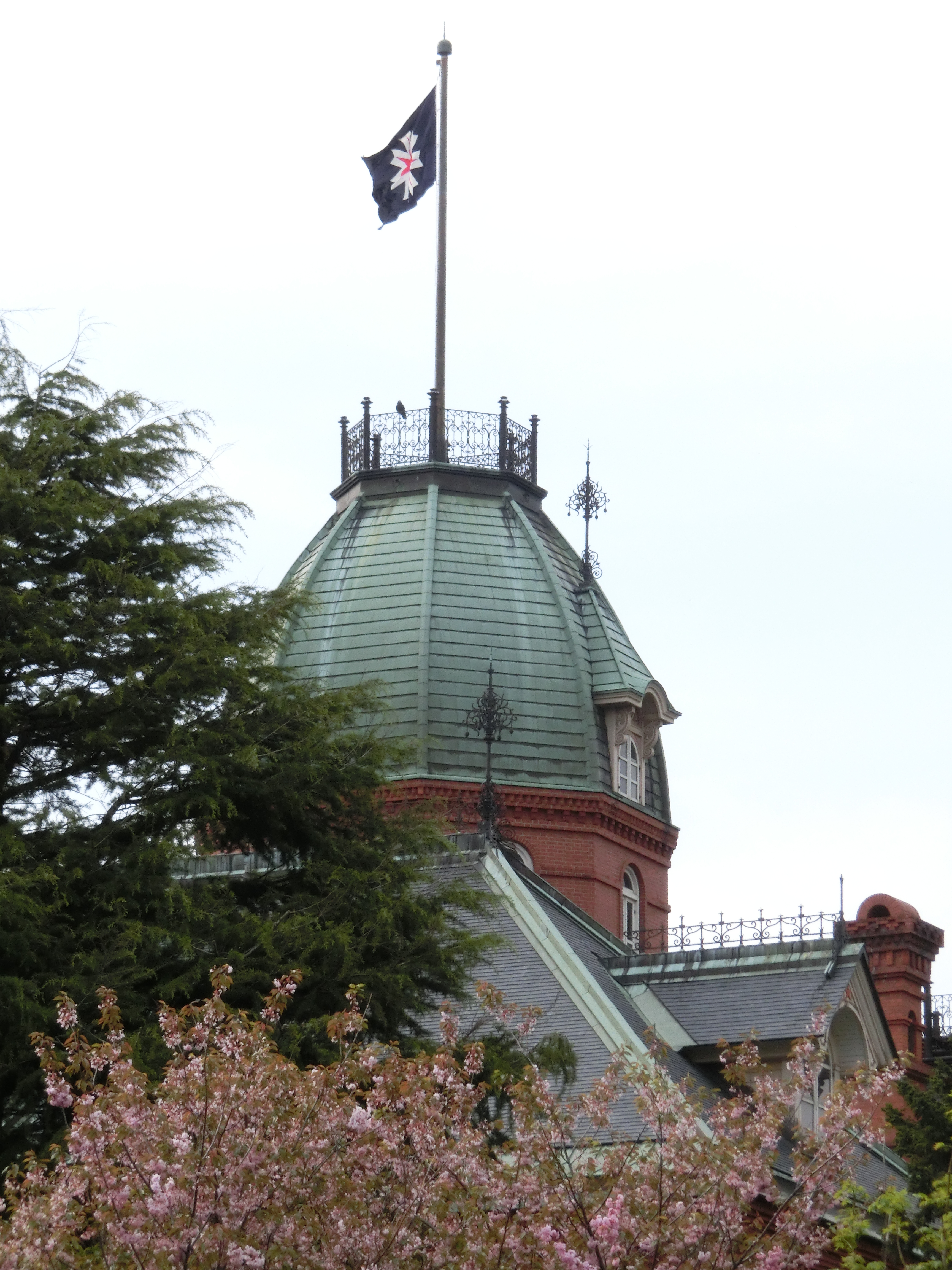 <b>ISO400 / EX-ZR300 / 4,608×3,456 / F14.7 / 1/160秒 / 0.7EV / WB:太陽光 / 32.14mm（182mm相当）</b>