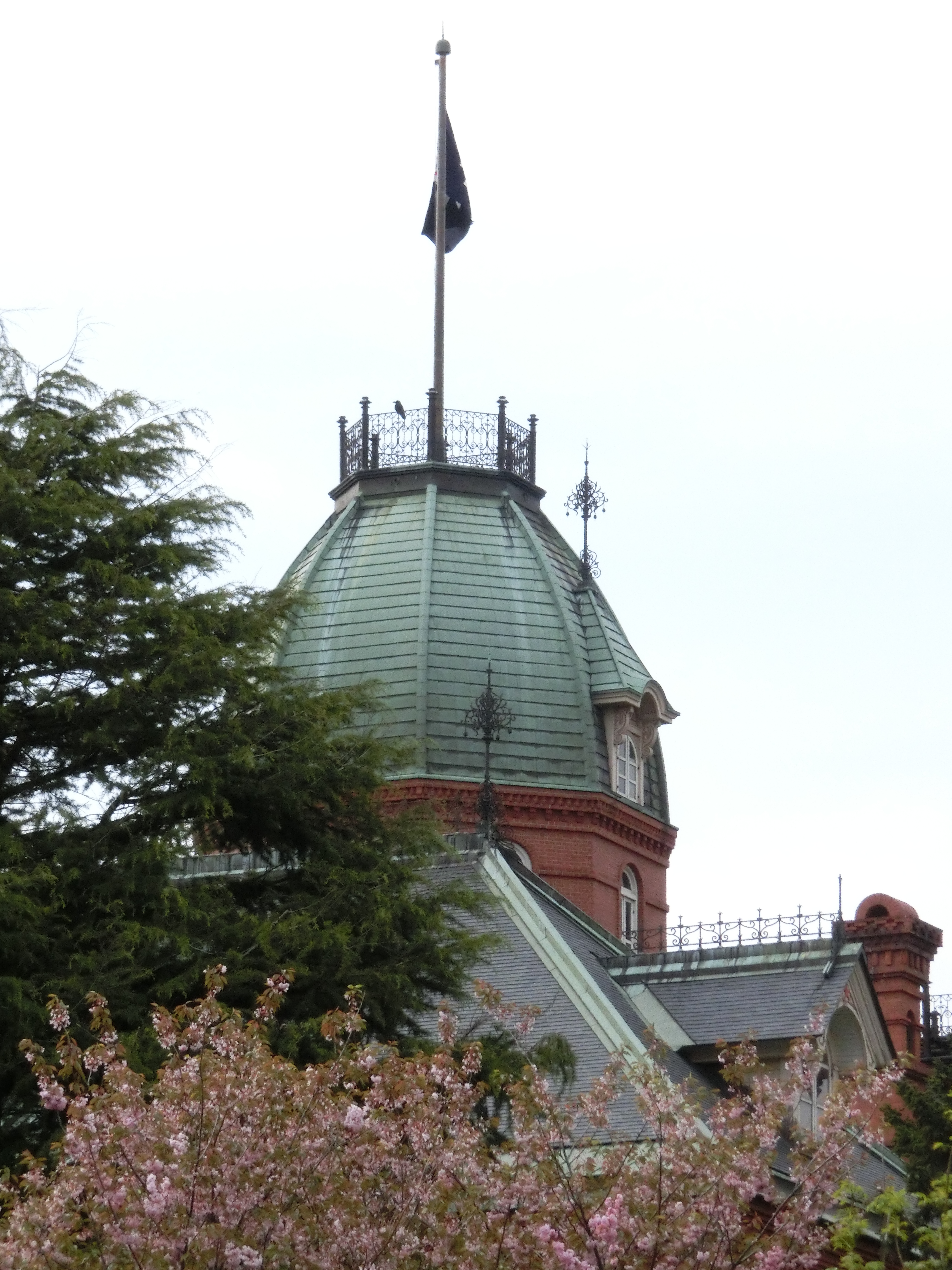 <b>ISO800 / EX-ZR300 / 4,608×3,456 / F14.7 / 1/320秒 / 0.7EV / WB:太陽光 / 32.14mm（182mm相当）</b>