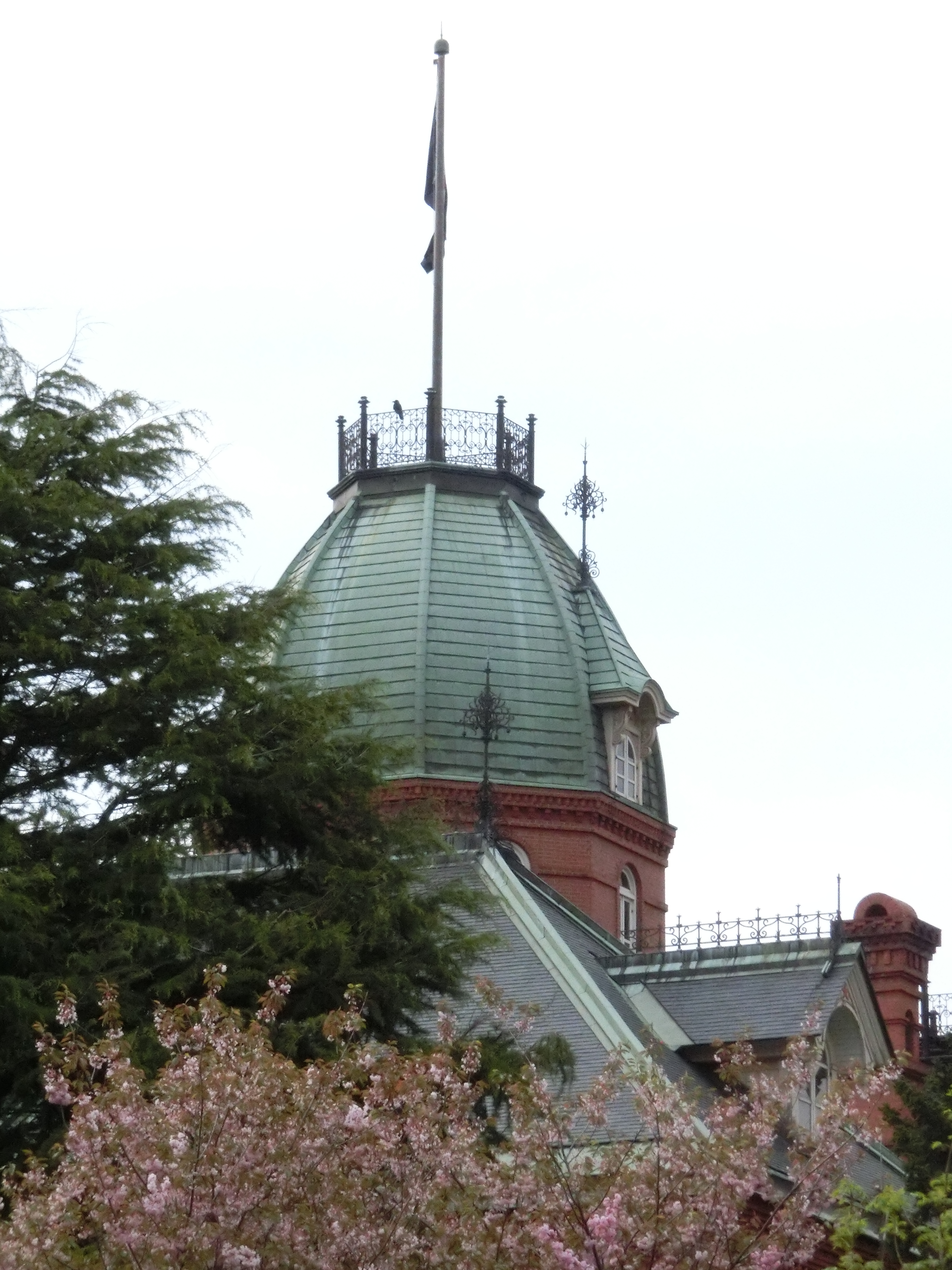 <b>ISO1600 / EX-ZR300 / 4,608×3,456 / F14.7 / 1/640秒 / 0.7EV / WB:太陽光 / 32.14mm（182mm相当）</b>