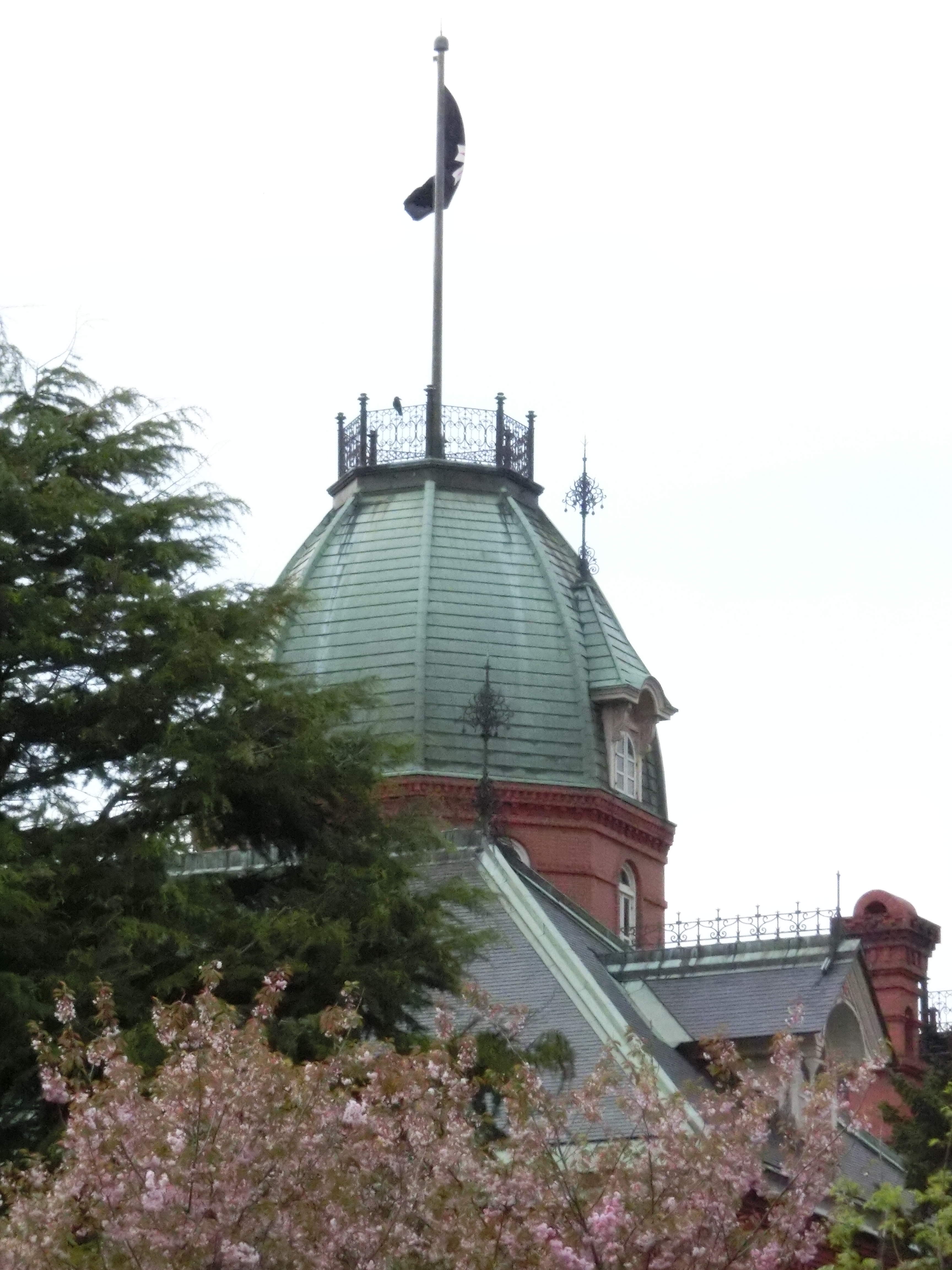 <b>ISO3200 / EX-ZR300 / 4,608×3,456 / F14.7 / 1/1250秒 / 0.7EV / WB:太陽光 / 32.14mm（182mm相当）</b>