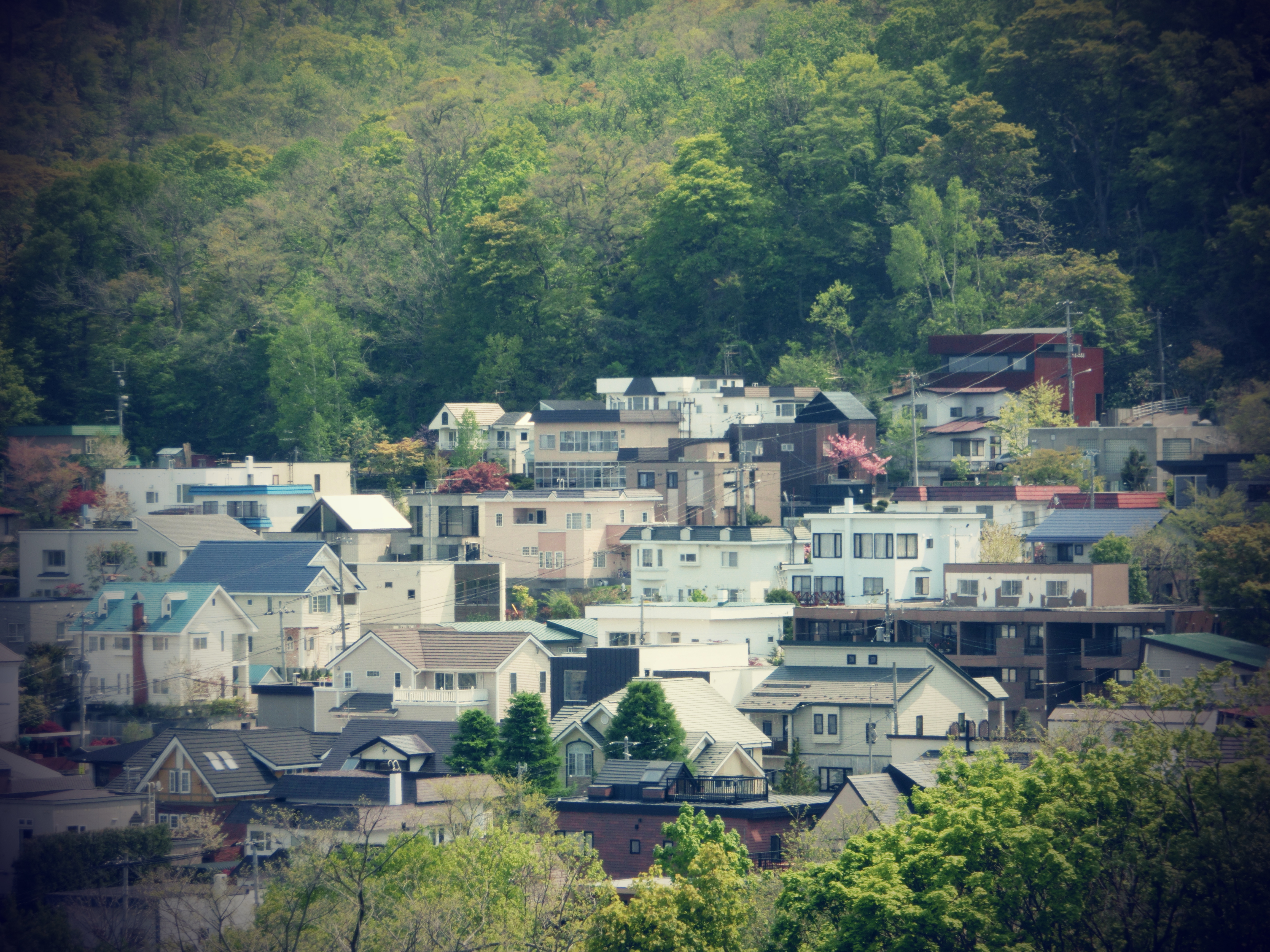 <b>トイカメラ:タイプ1 / EX-ZR300 / 4,608×3,456 / F5.8 / 1/320秒 / 0EV / ISO80 / WB:オート / 29.39mm（166mm相当）</b>