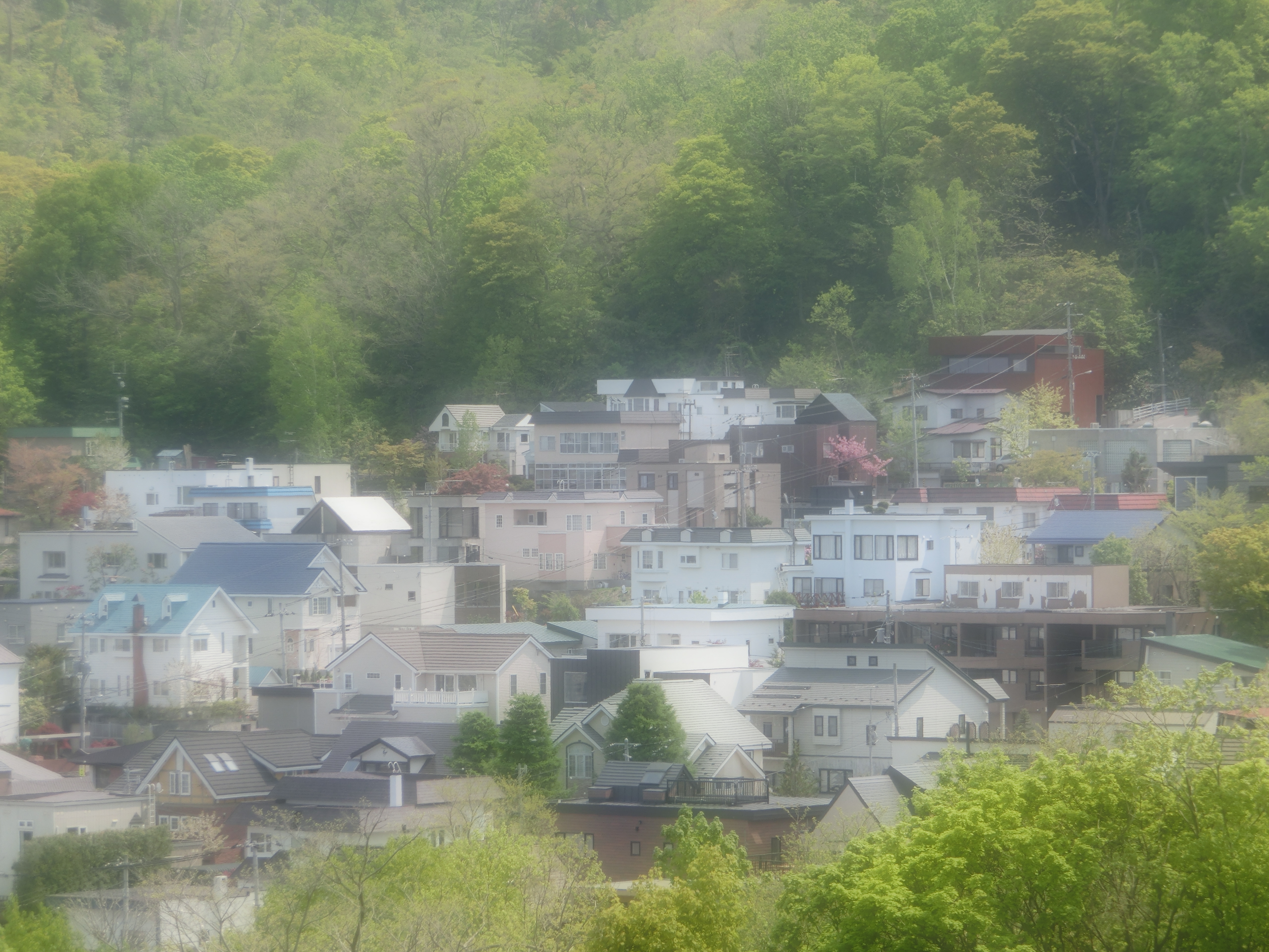 <b>ソフトフォーカス:レベル2 / EX-ZR300 / 4,608×3,456 / F5.8 / 1/320秒 / 0EV / ISO80 / WB:オート / 29.39mm（166mm相当）</b>