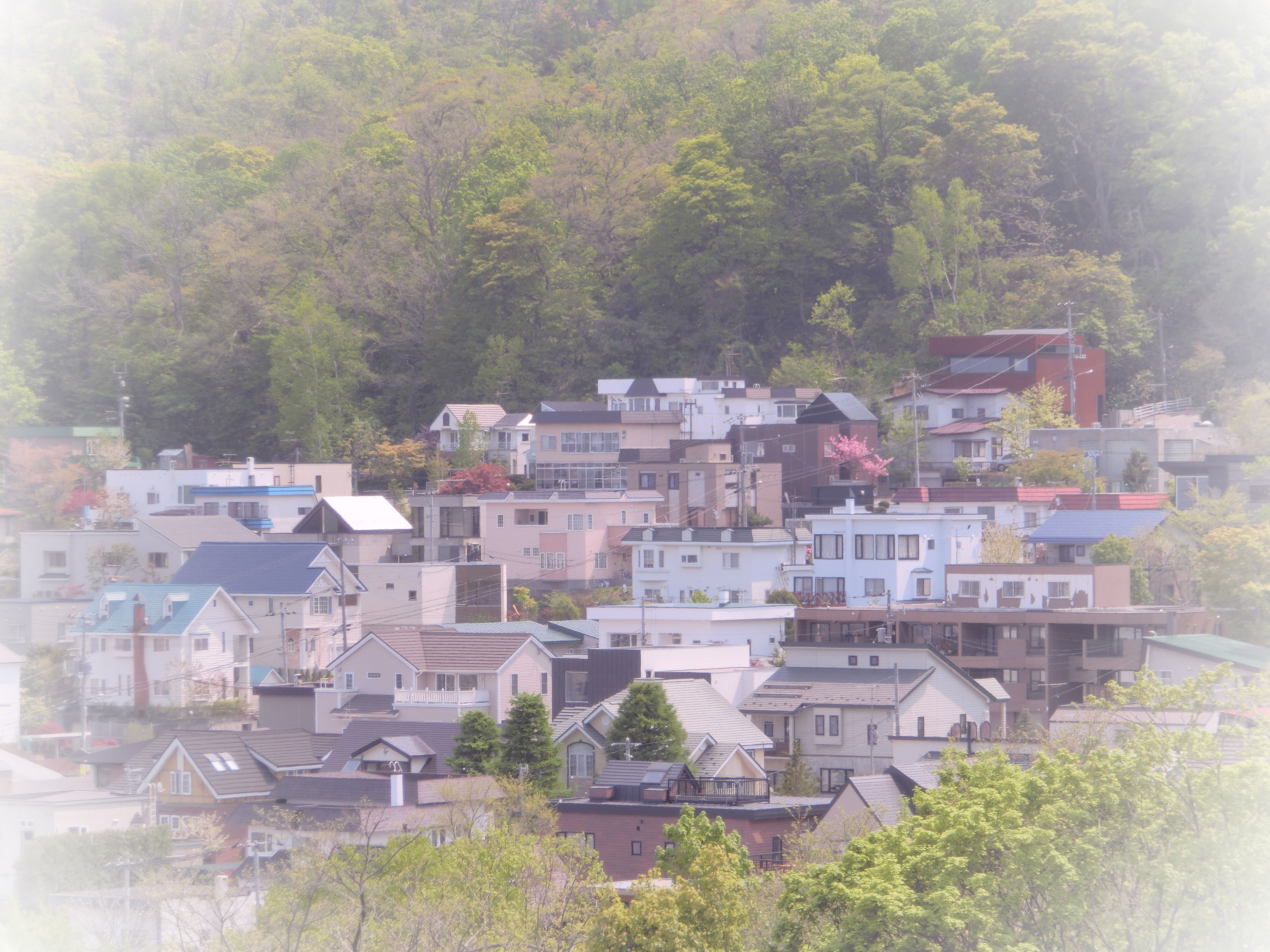 <b>ライトトーン:マゼンタ / EX-ZR300 / 4,608×3,456 / F5.8 / 1/320秒 / 0EV / ISO80 / WB:オート / 29.39mm（166mm相当）</b>