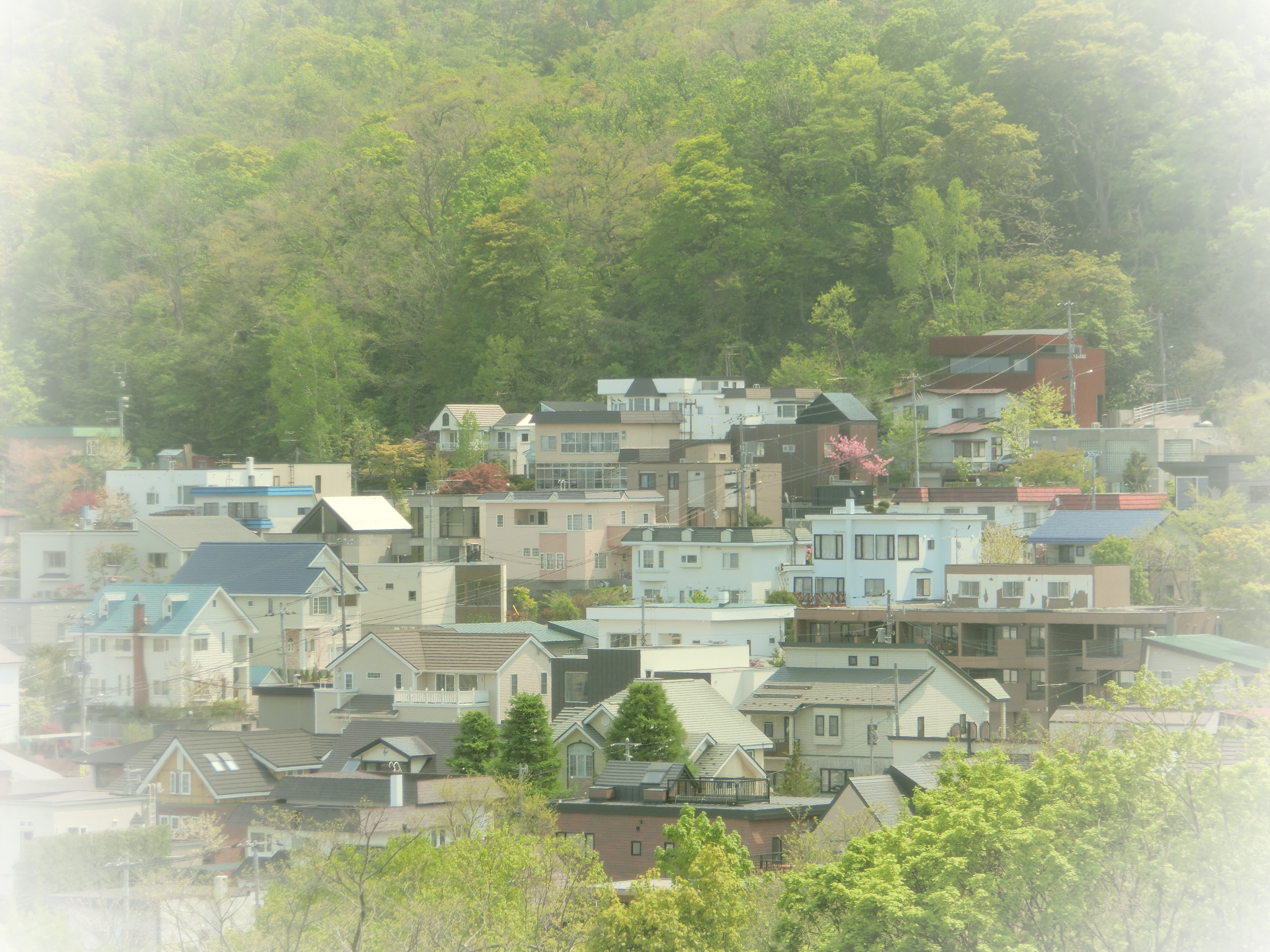 <b>ライトトーン:イエロー / EX-ZR300 / 4,608×3,456 / F5.8 / 1/320秒 / 0EV / ISO80 / WB:オート / 29.39mm（166mm相当）</b>