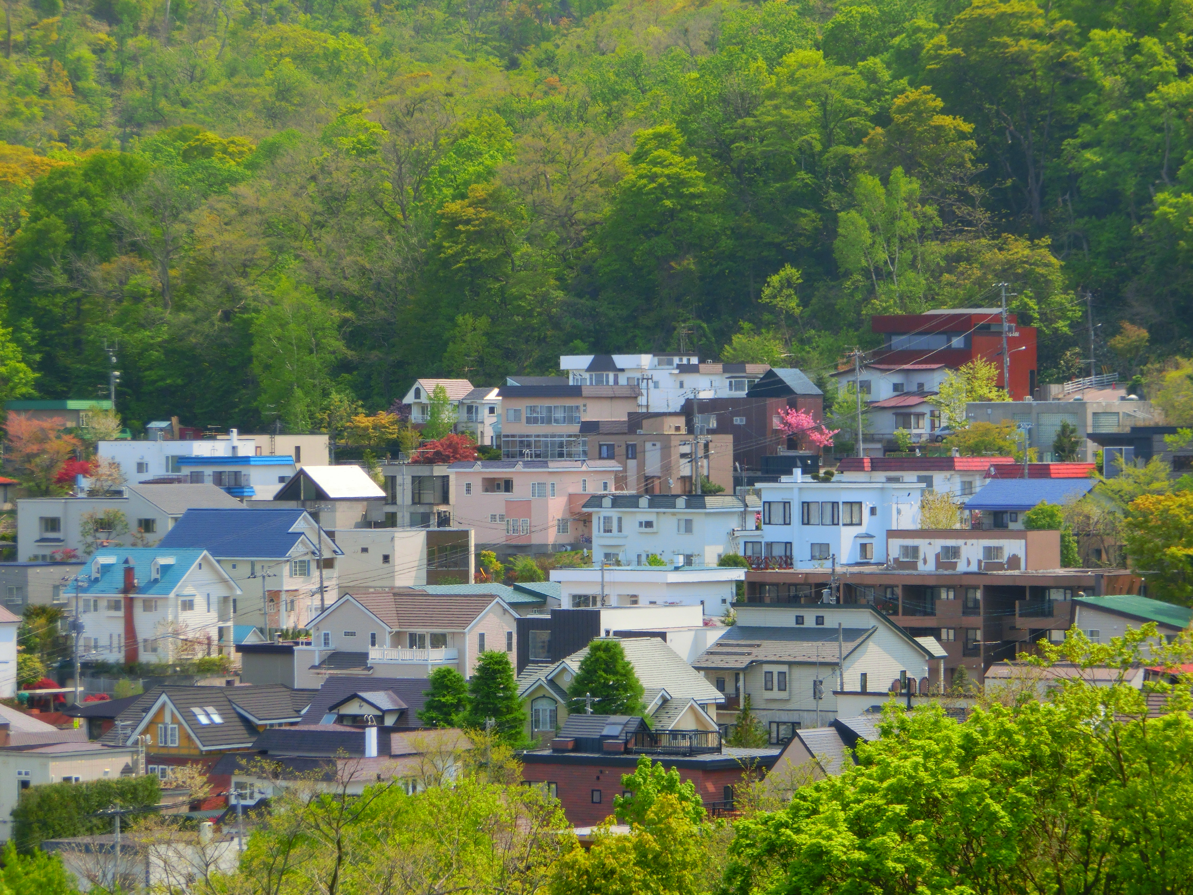 <b>ポップ:レベル2 / EX-ZR300 / 4,608×3,456 / F5.8 / 1/320秒 / 0EV / ISO80 / WB:オート / 29.39mm（166mm相当）</b>