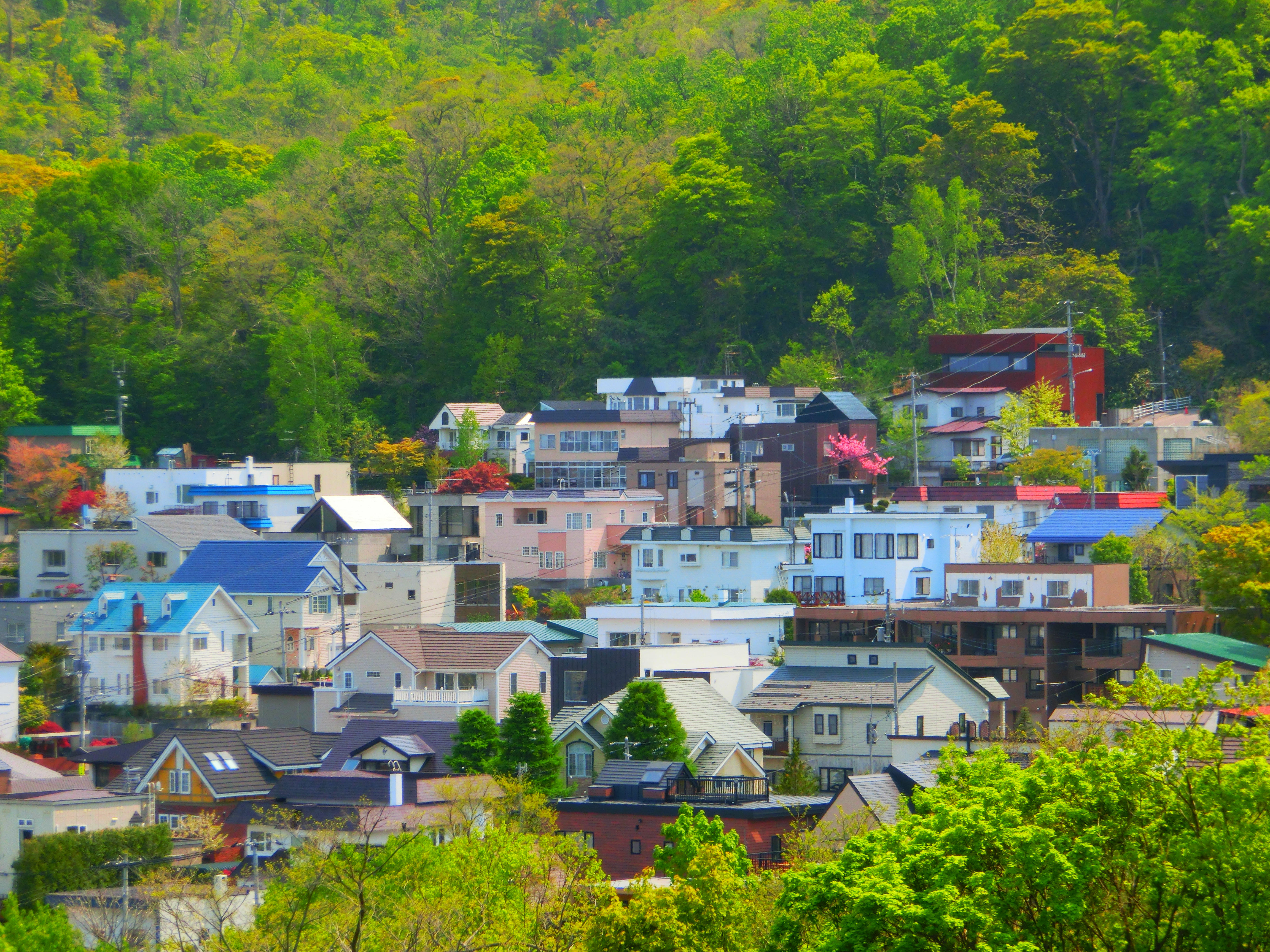 <b>ポップ:レベル3 / EX-ZR300 / 4,608×3,456 / F5.8 / 1/320秒 / 0EV / ISO80 / WB:オート / 29.39mm（166mm相当）</b>