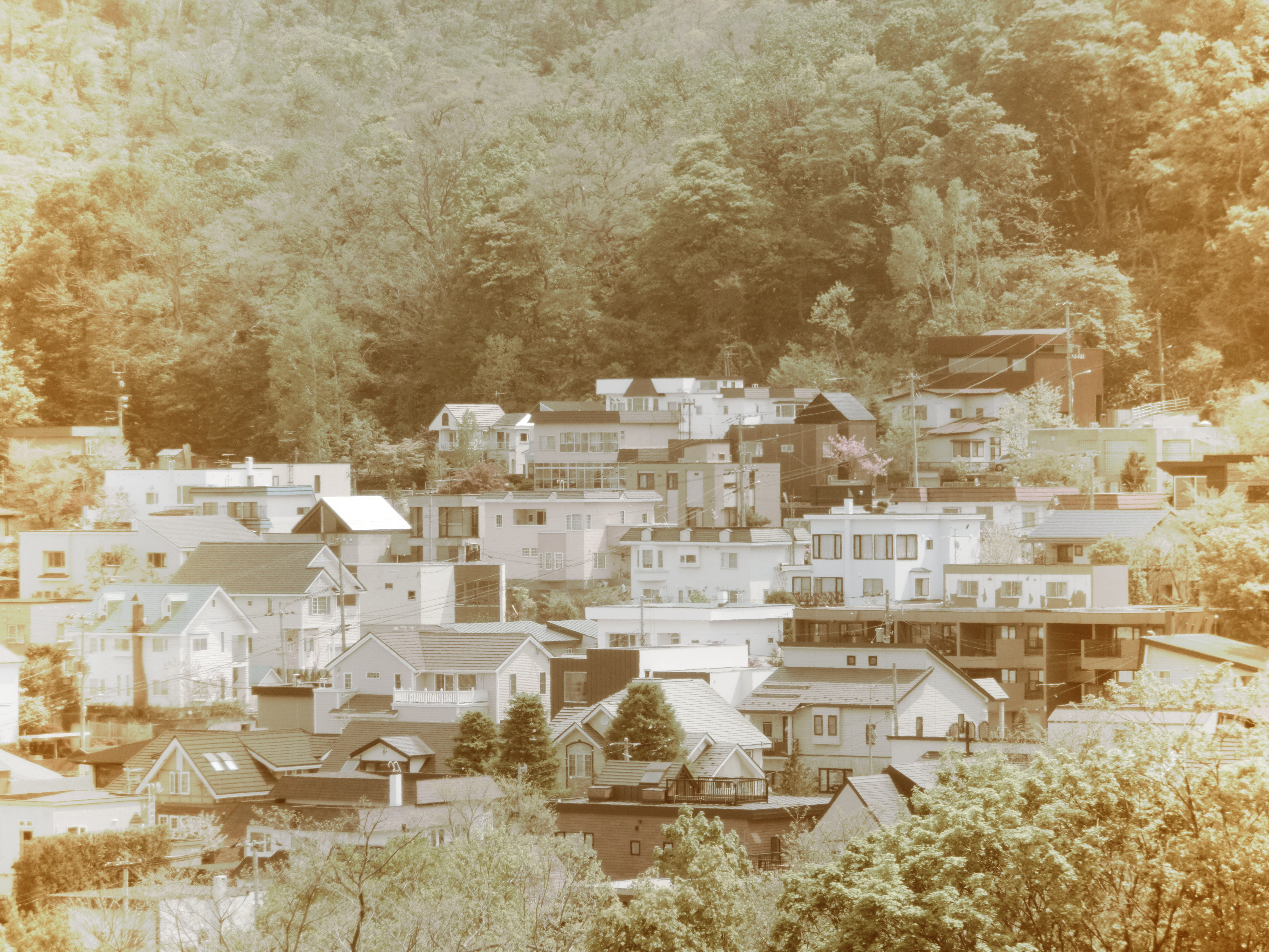 <b>セピア:レベル1 / EX-ZR300 / 4,608×3,456 / F5.8 / 1/320秒 / 0EV / ISO80 / WB:オート / 29.39mm（166mm相当）</b>